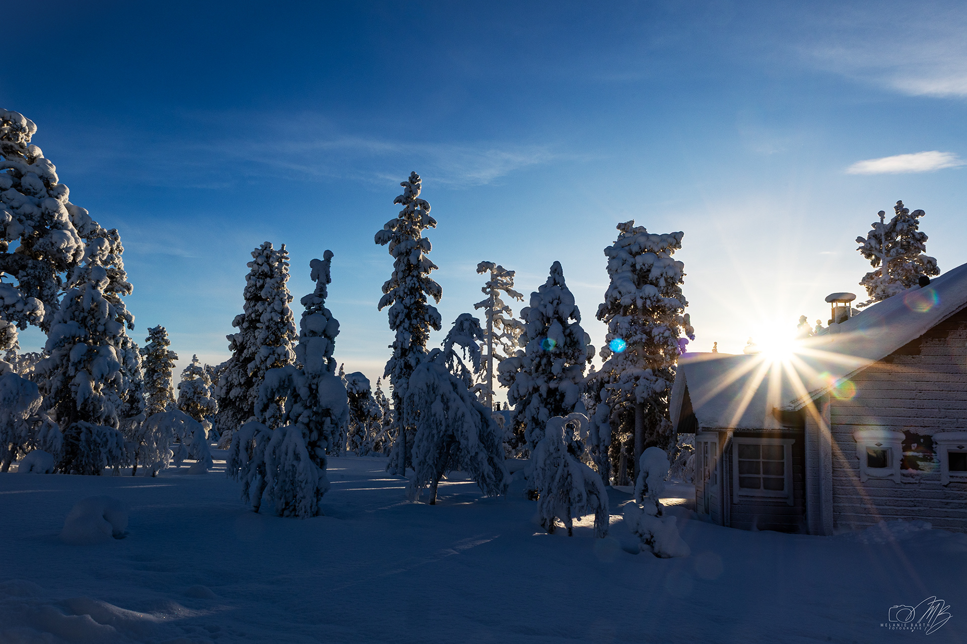 03 - Gegenlicht mit Sonnenstern
