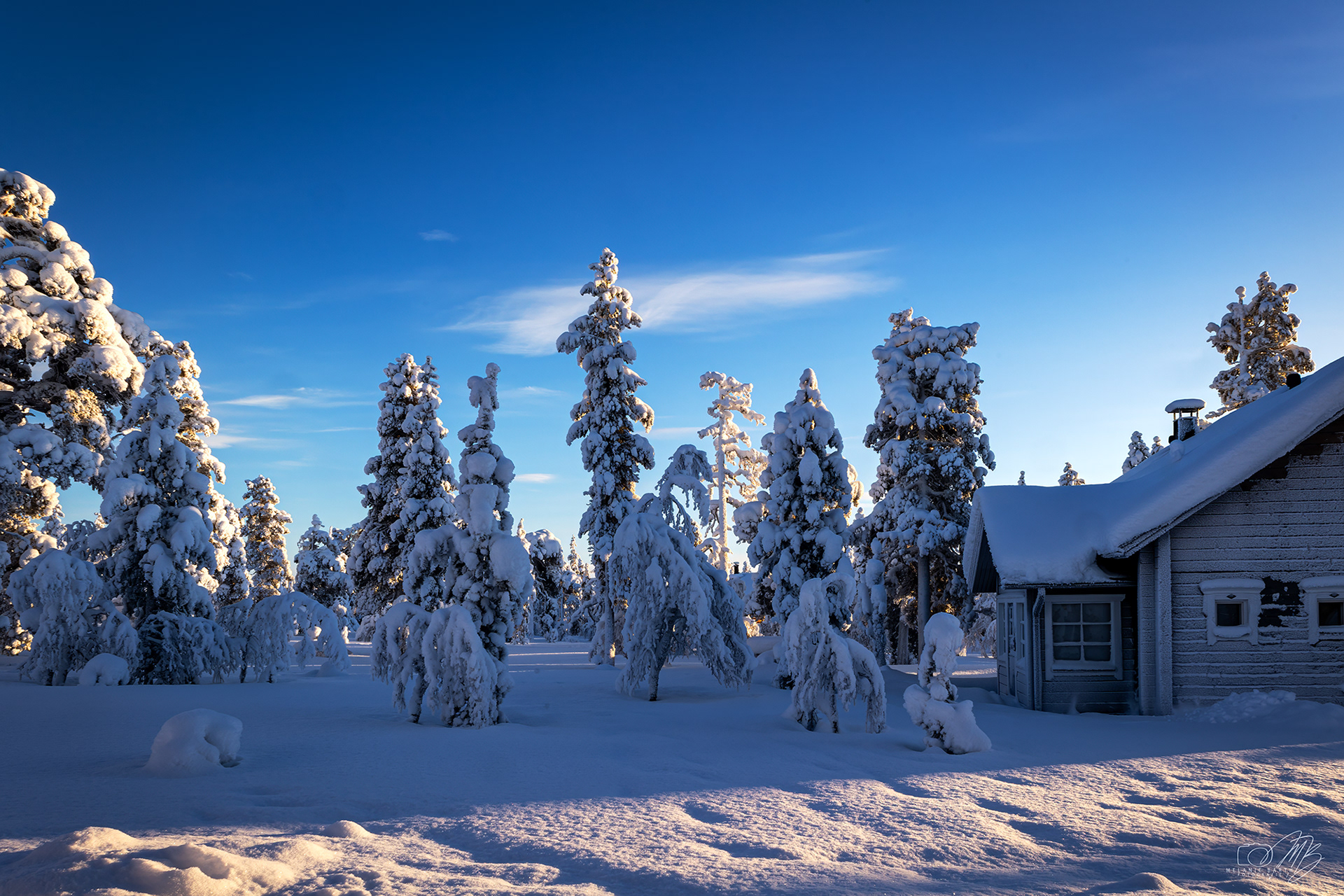 05 - Flaches Nachmittagslicht