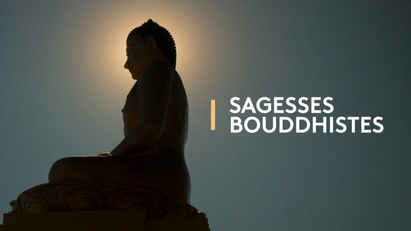 Emission religieuse de France 5 (en différé)