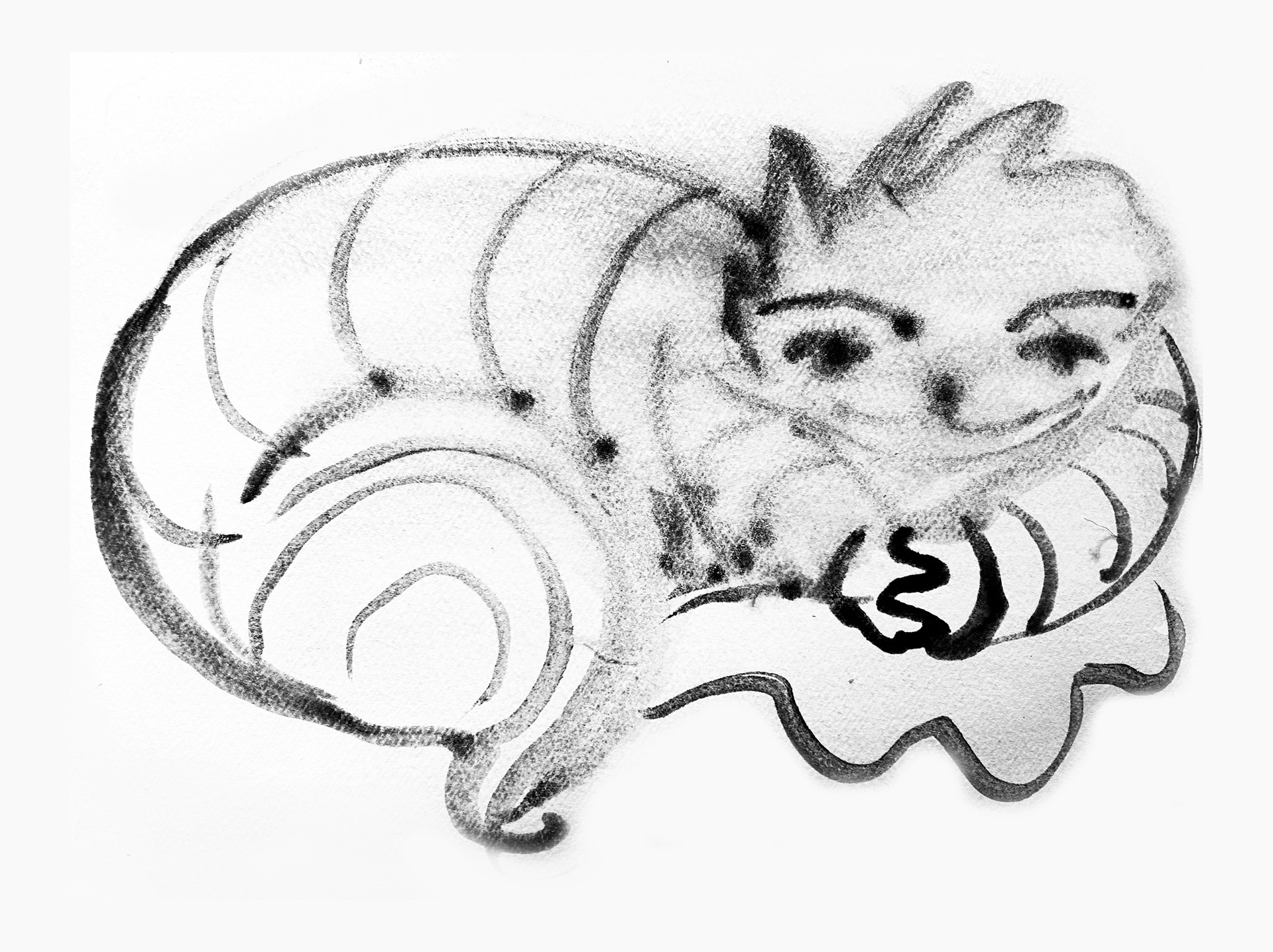 Cheshire 02