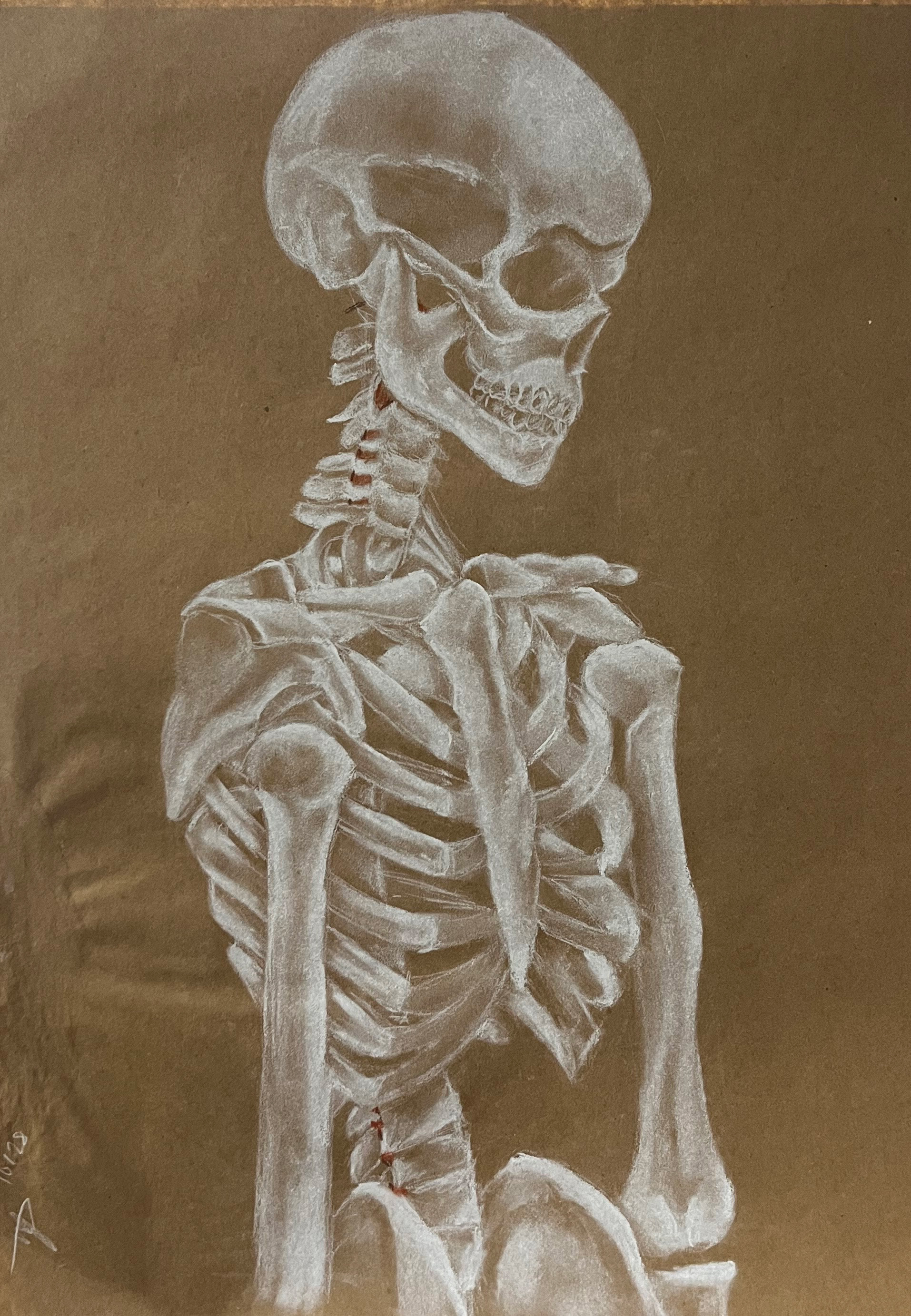 1 hr skeleton still life
