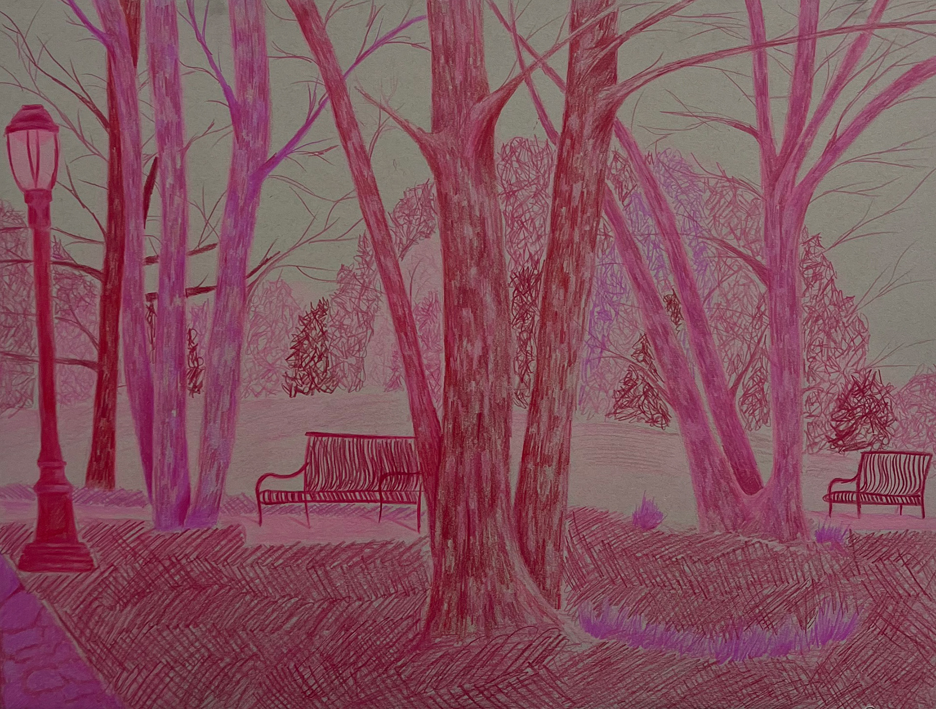 "Chartreuse" - 2024