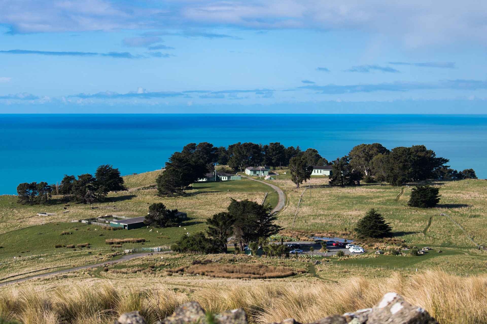 Godley Head