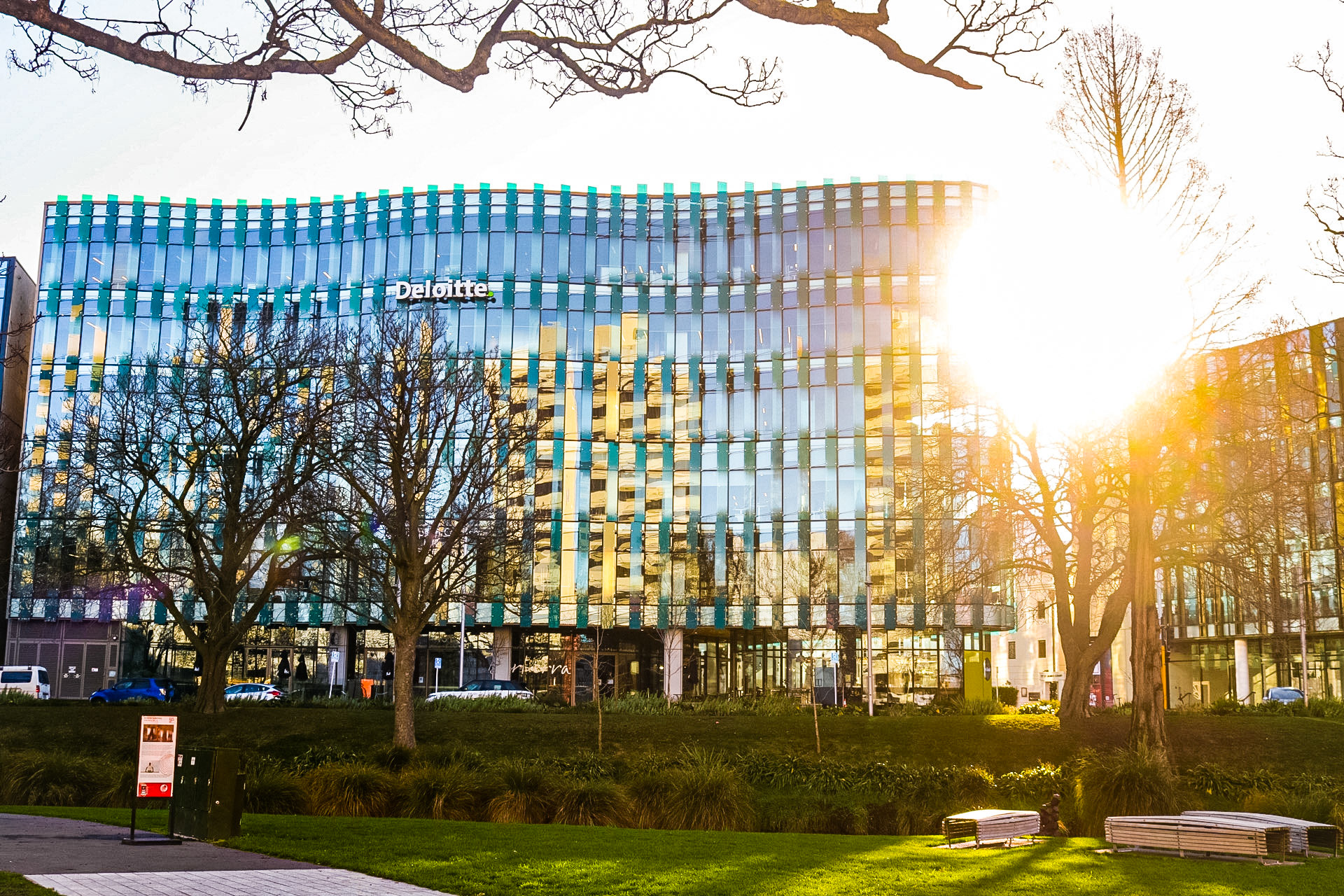 Deloitte from Oxford Terrace
