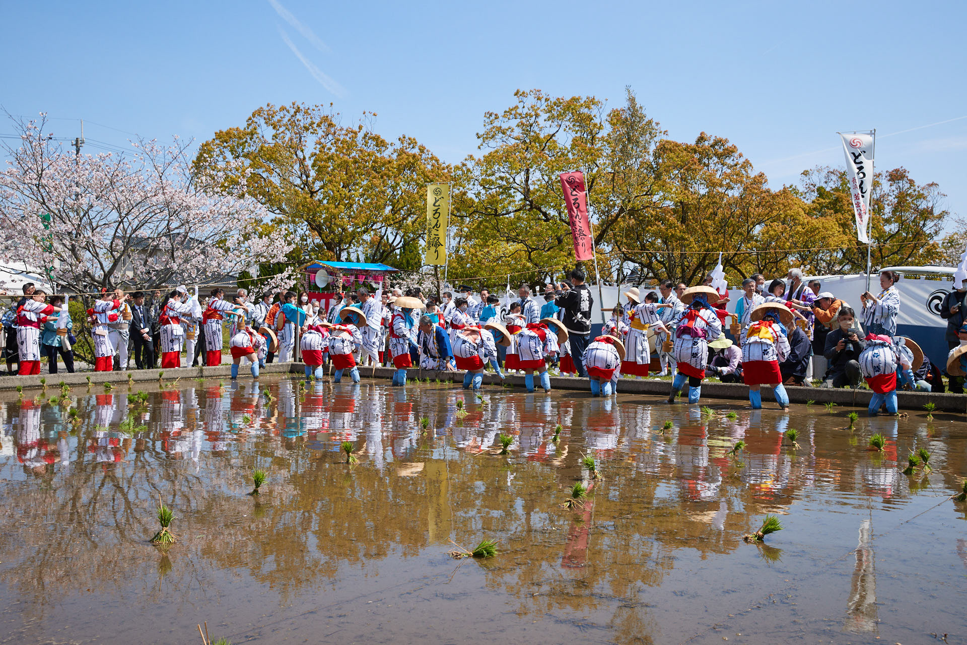 どろんこ祭り
