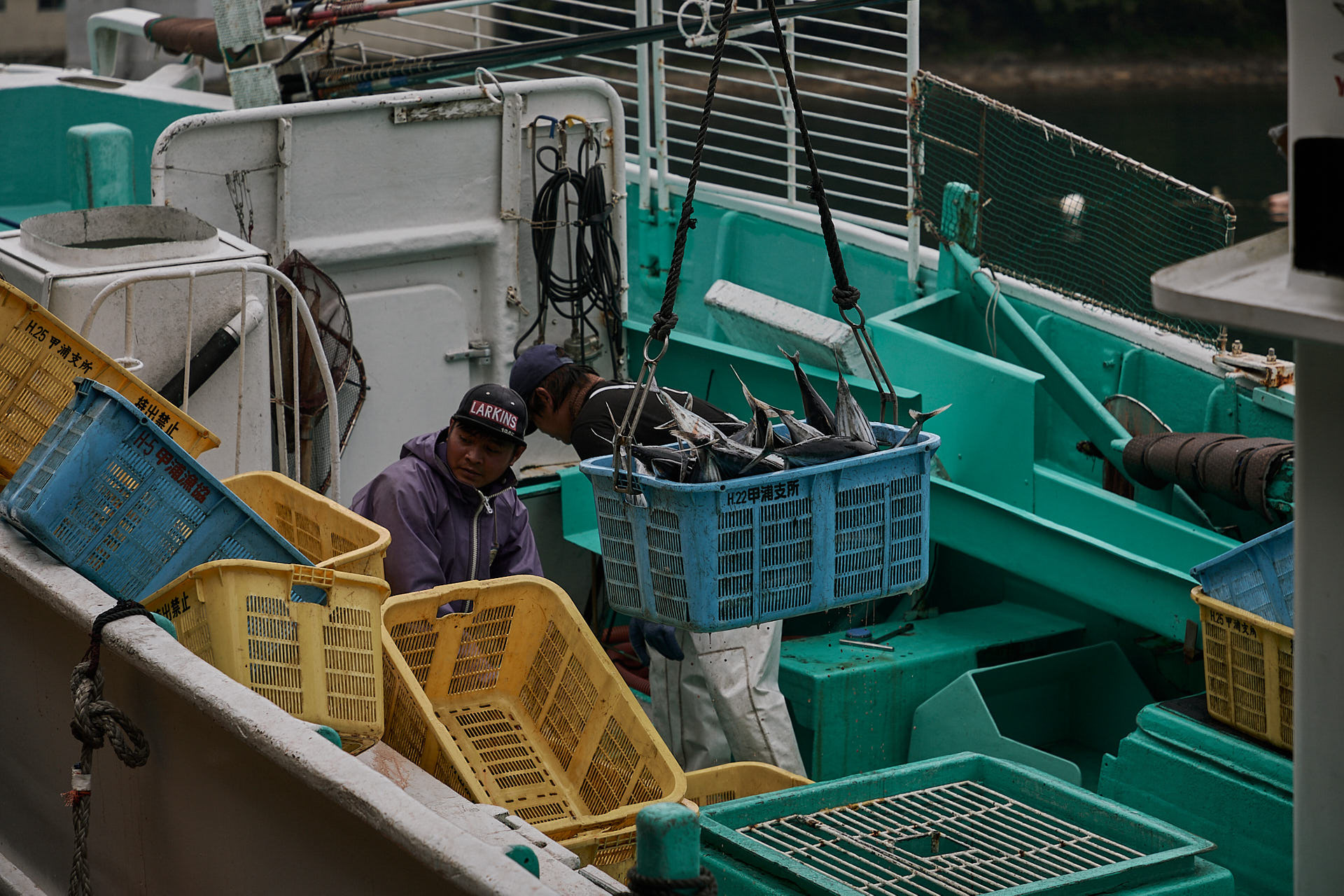 甲浦漁港