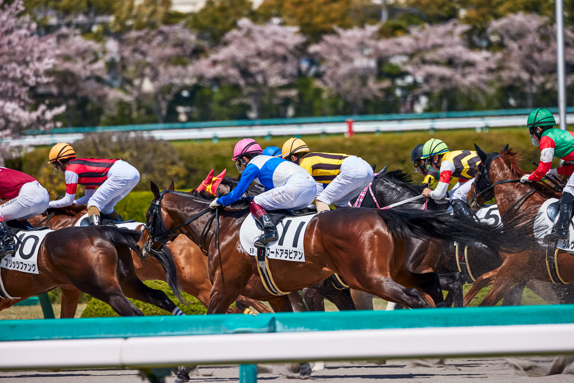 阪神競馬場