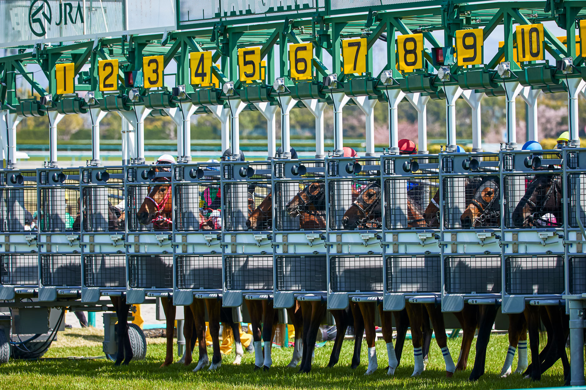 阪神競馬場