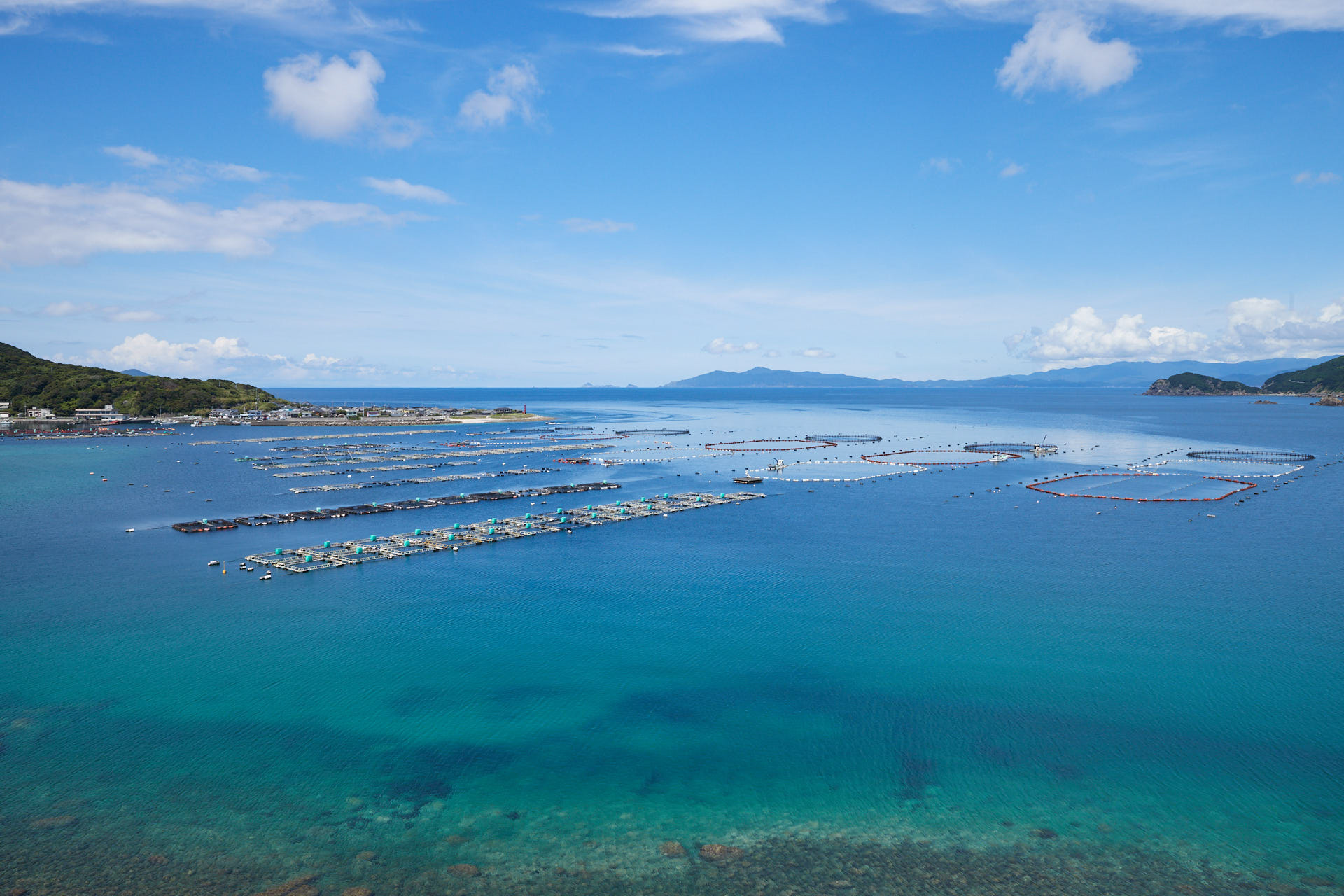 柏島