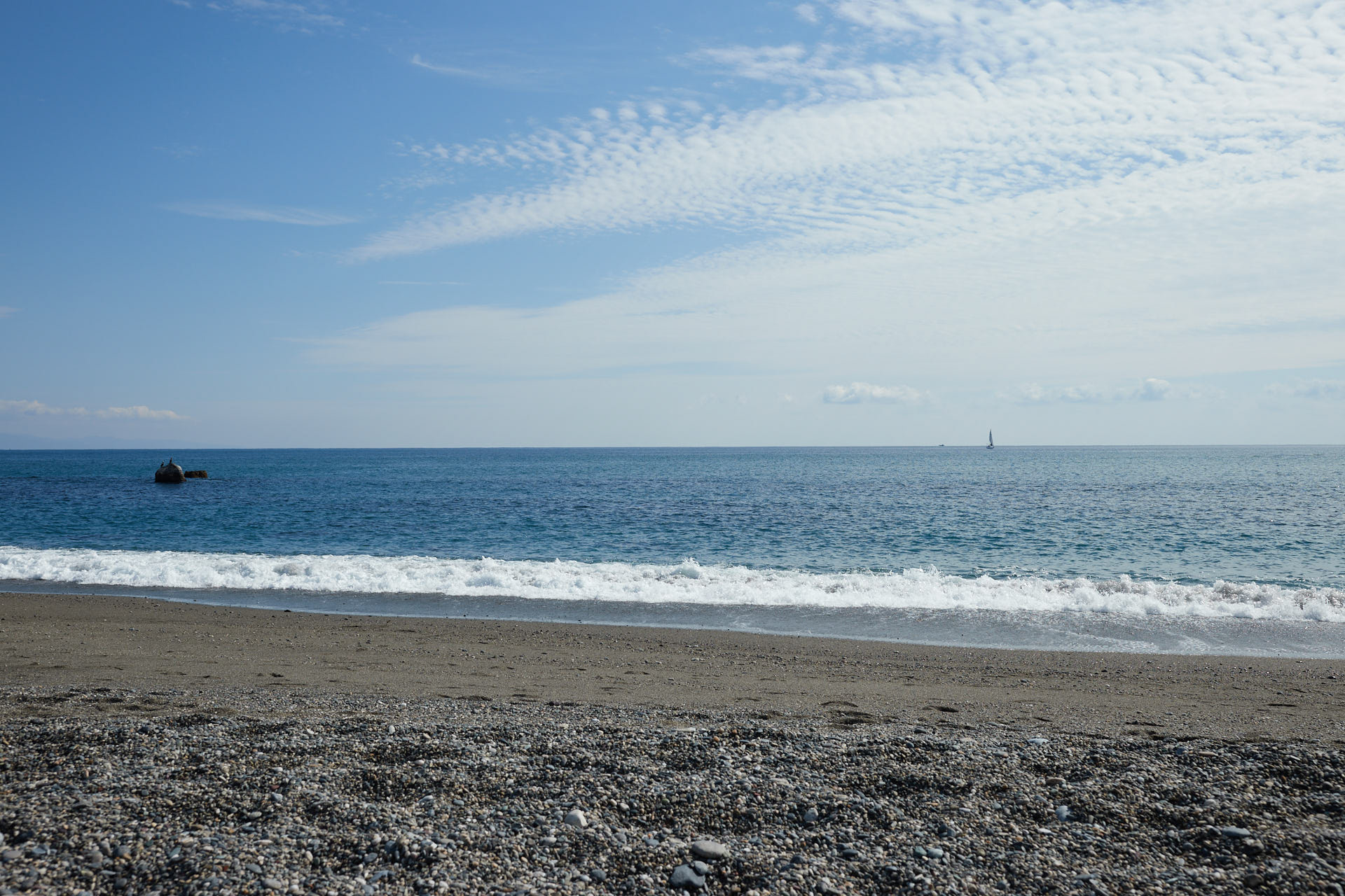 桂浜