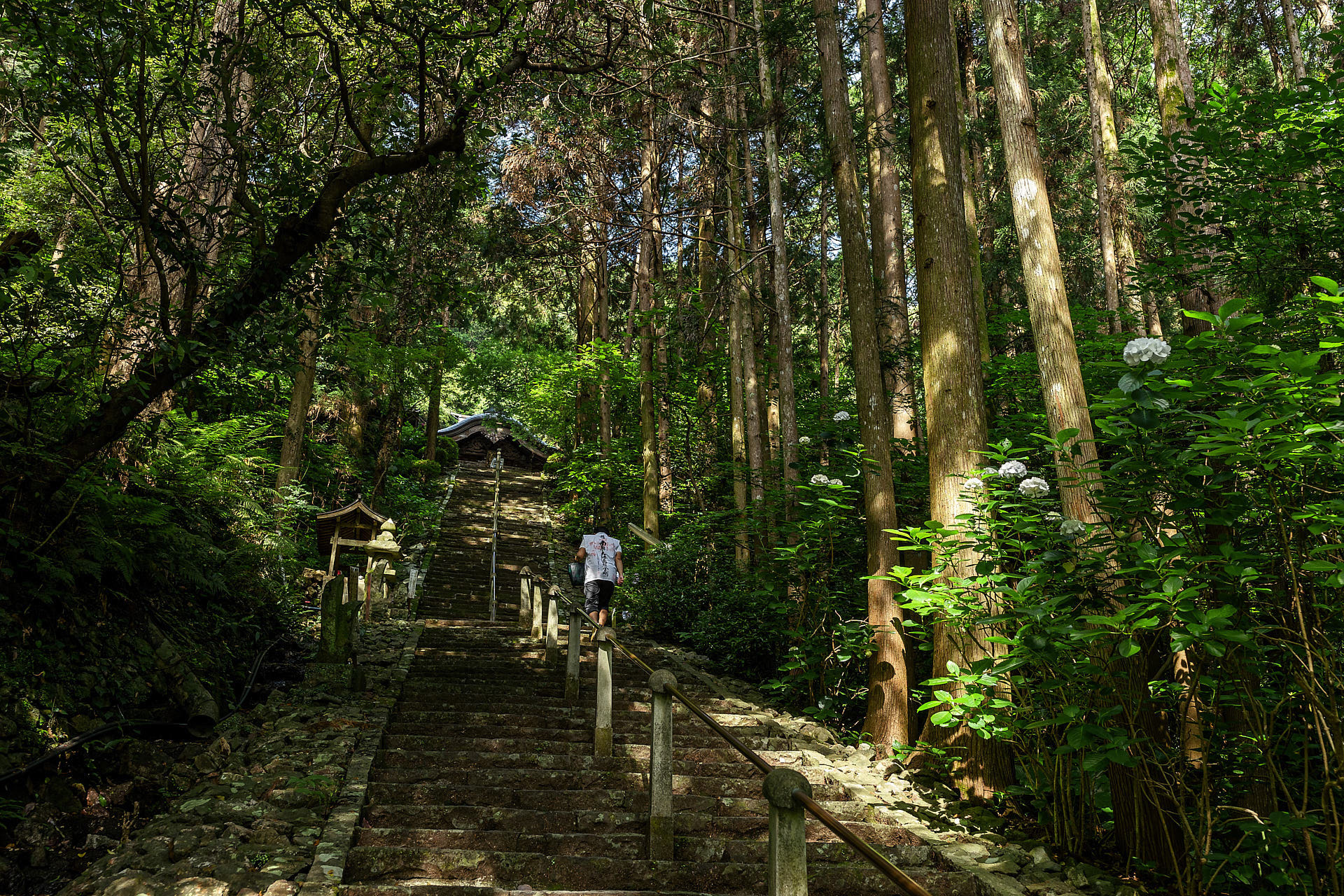 青龍寺
