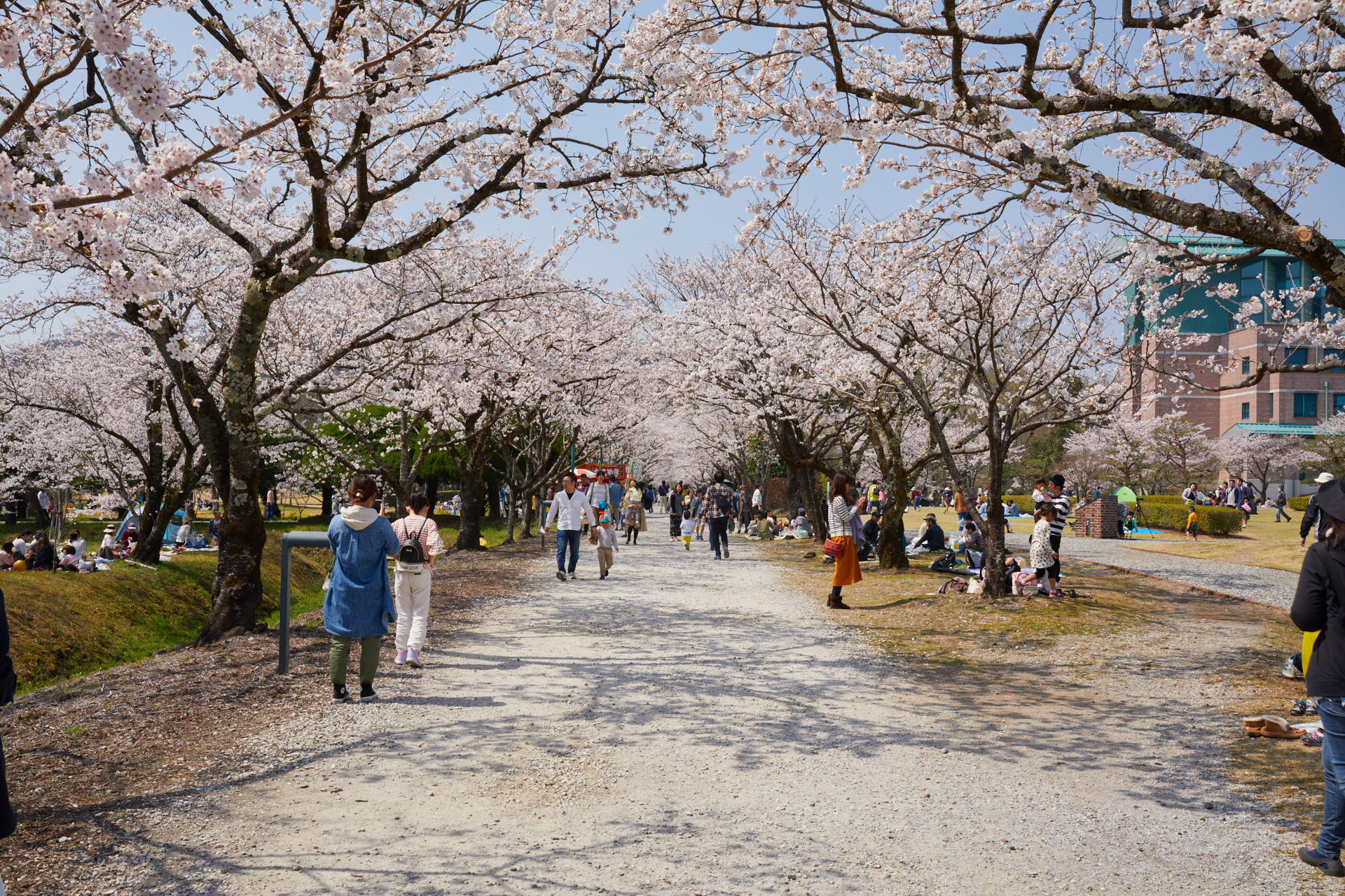 鏡野公園