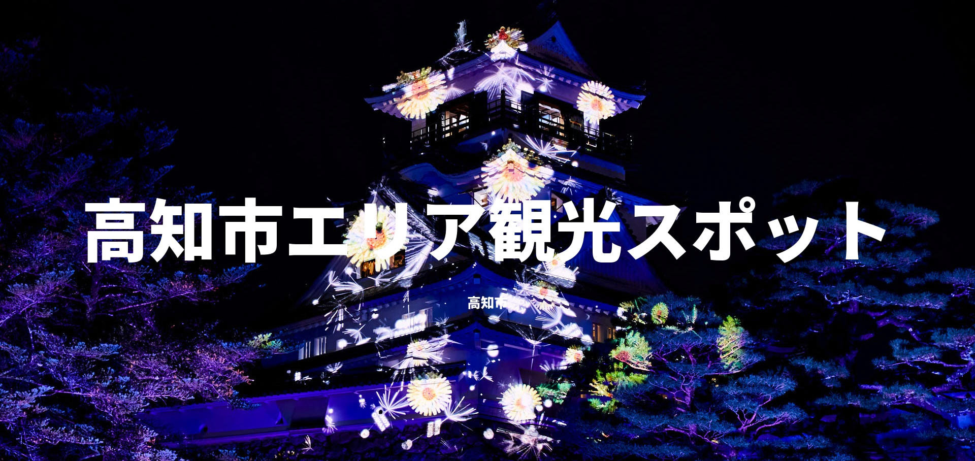高知市エリア観光スポット