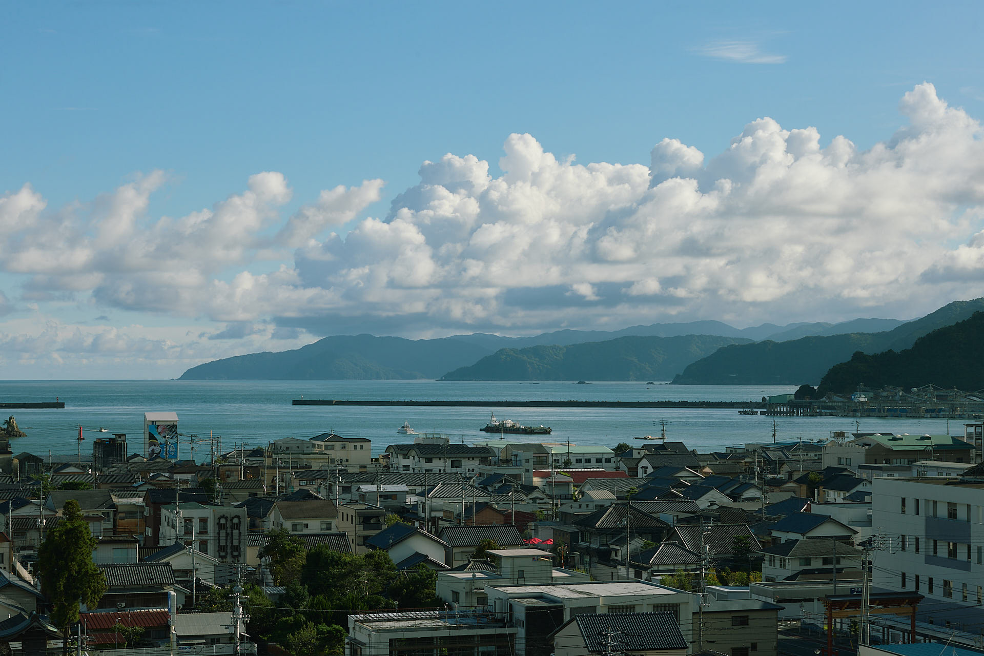 須崎湾を臨む