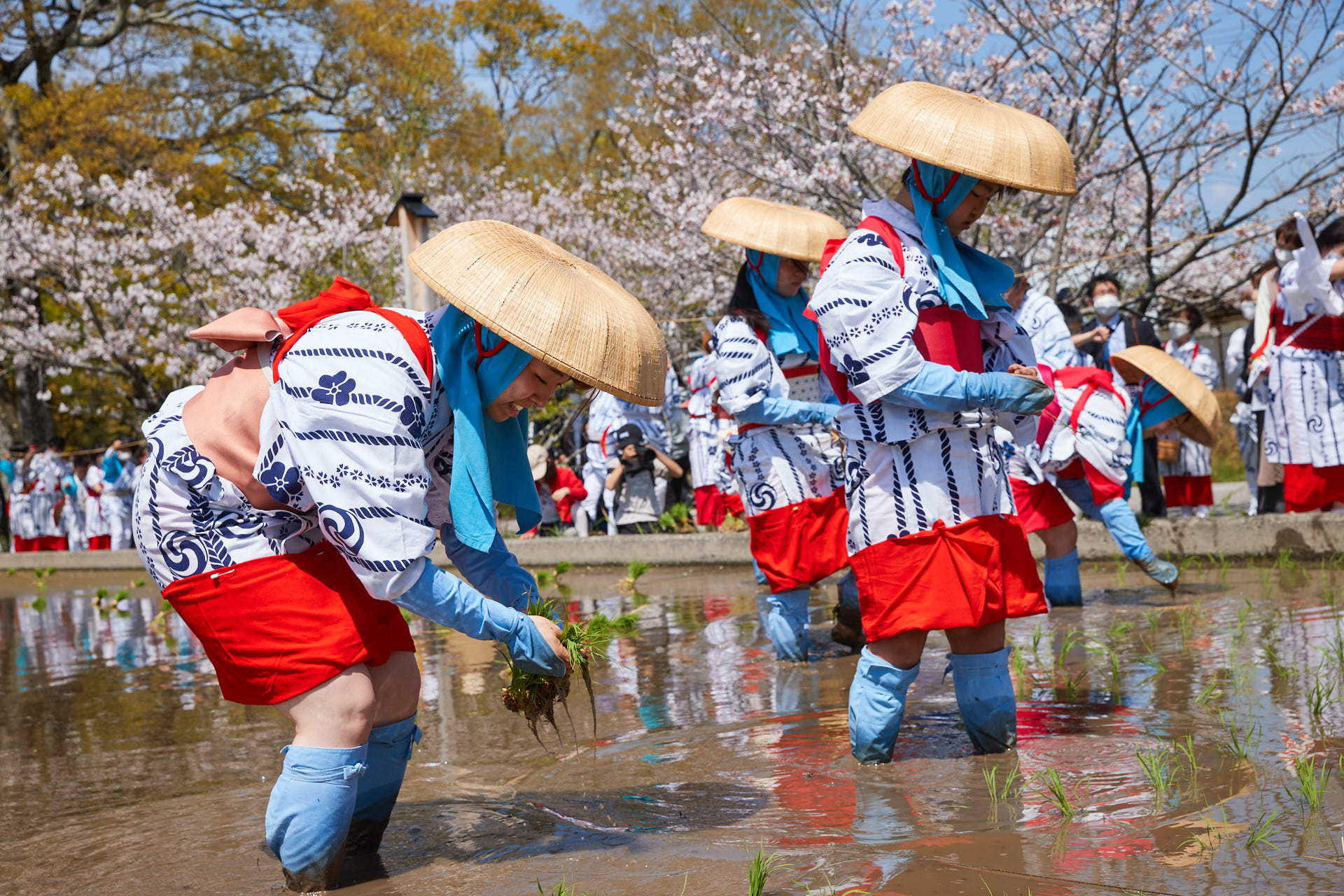 どろんこ祭り