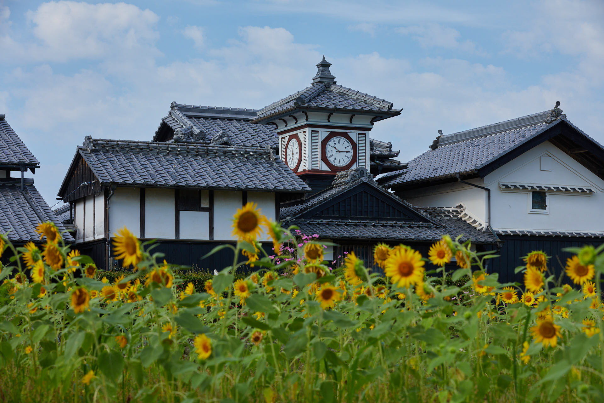 野良時計