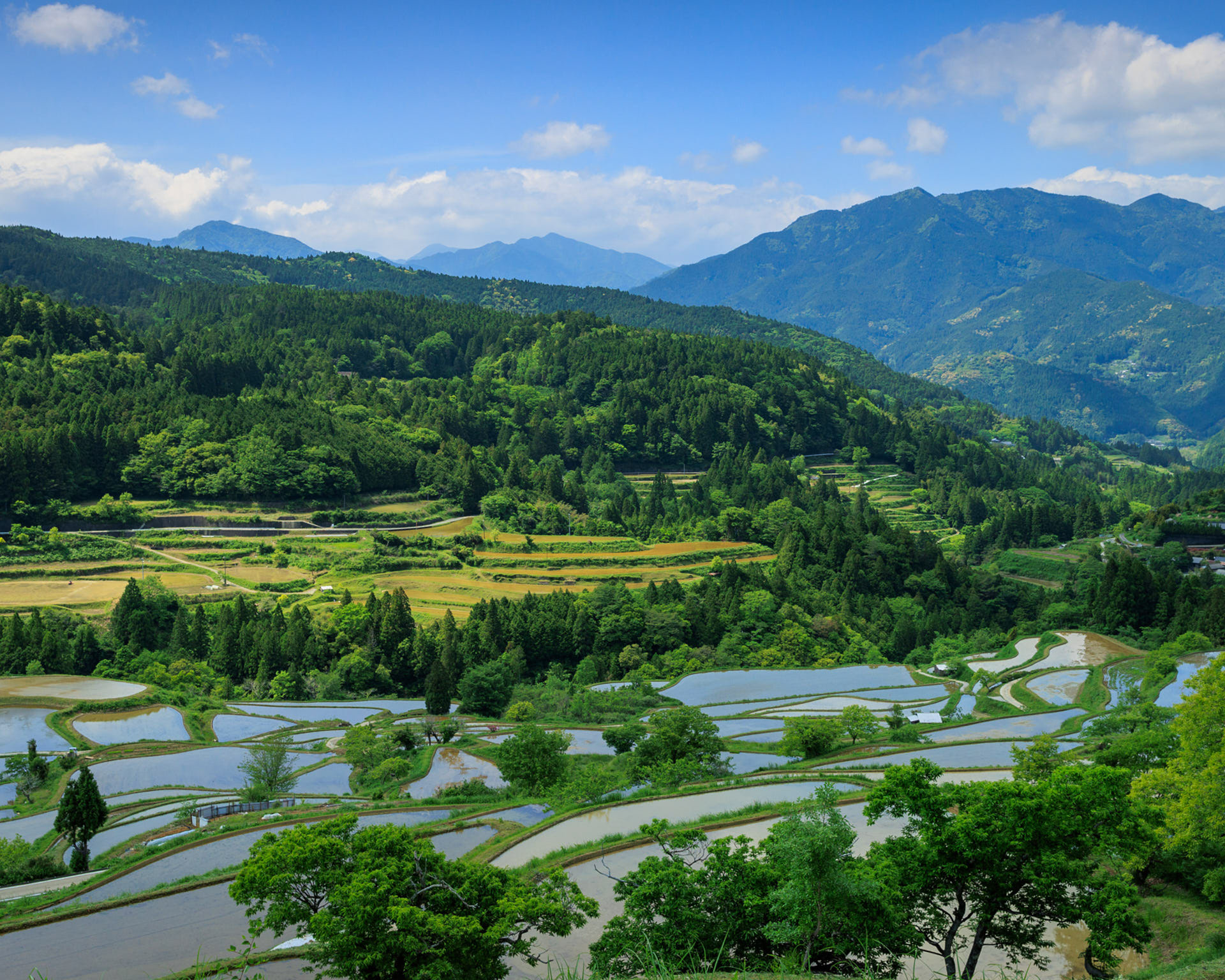 田植えを控えた吉延の棚田