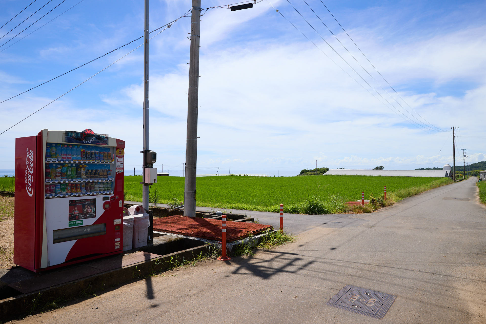 大野台地