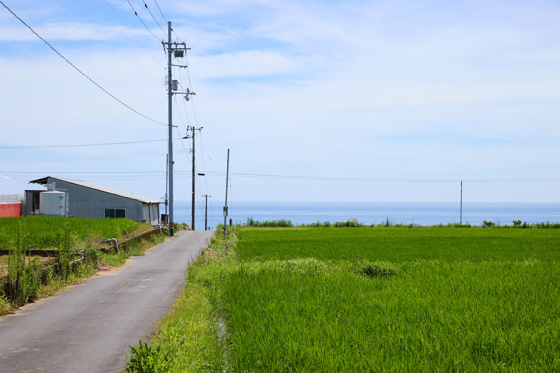 大野台地
