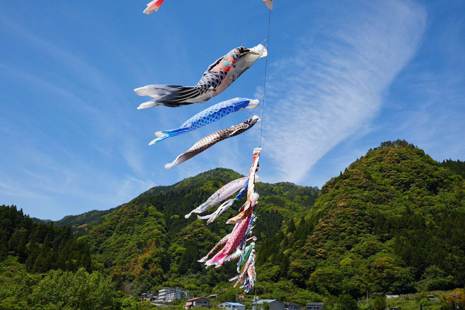 長者の棚田​​​​​​​