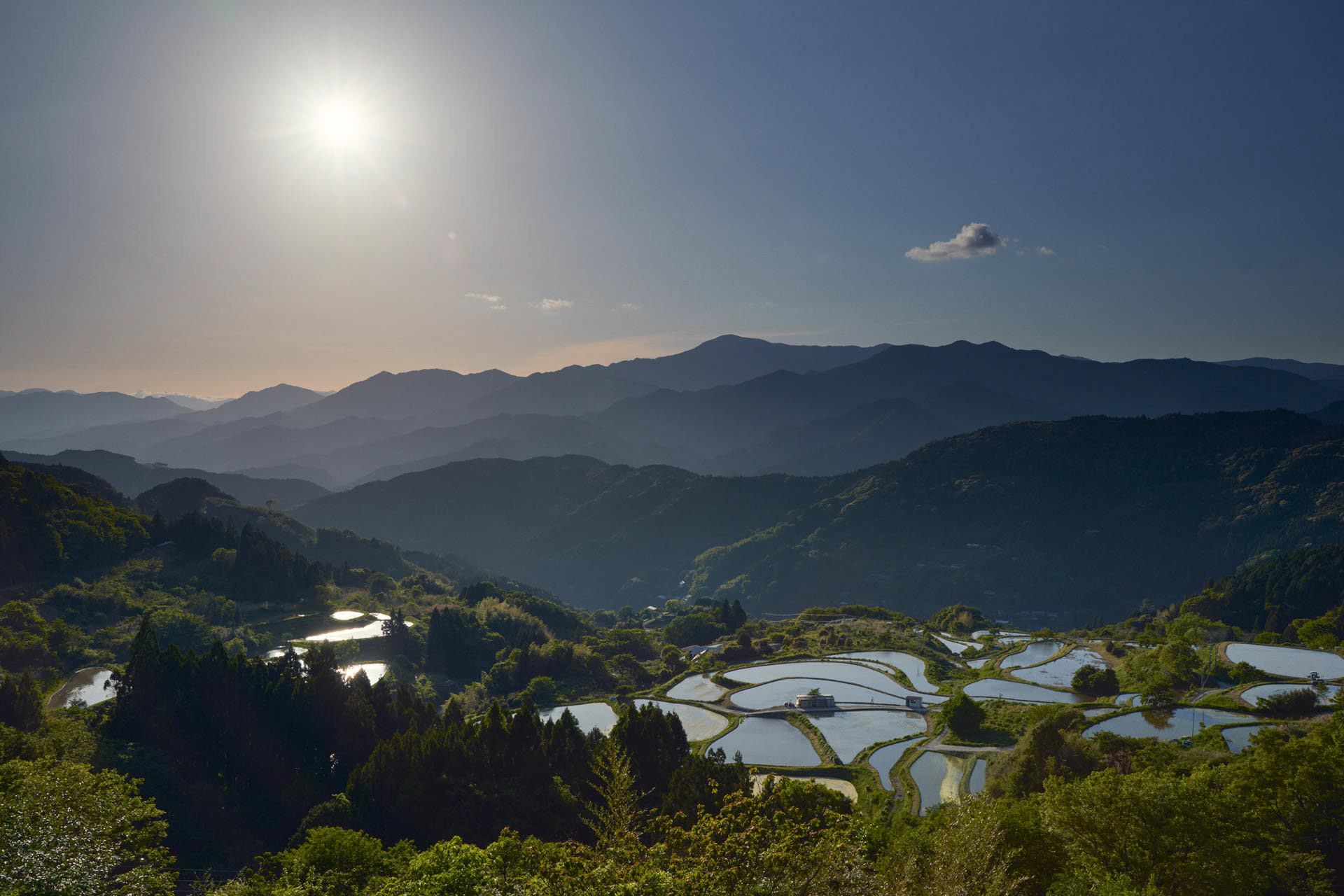 穴内の棚田