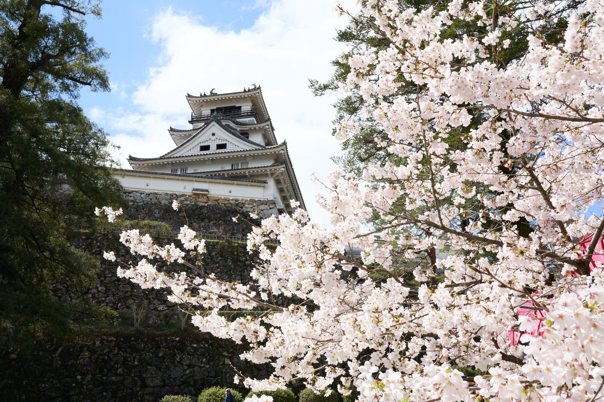 高知城