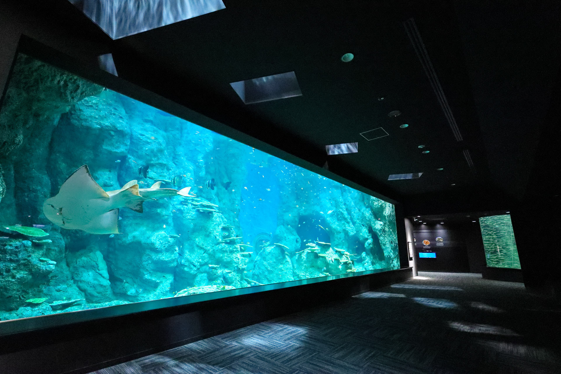 高知県立足摺海洋館 SATOUMI