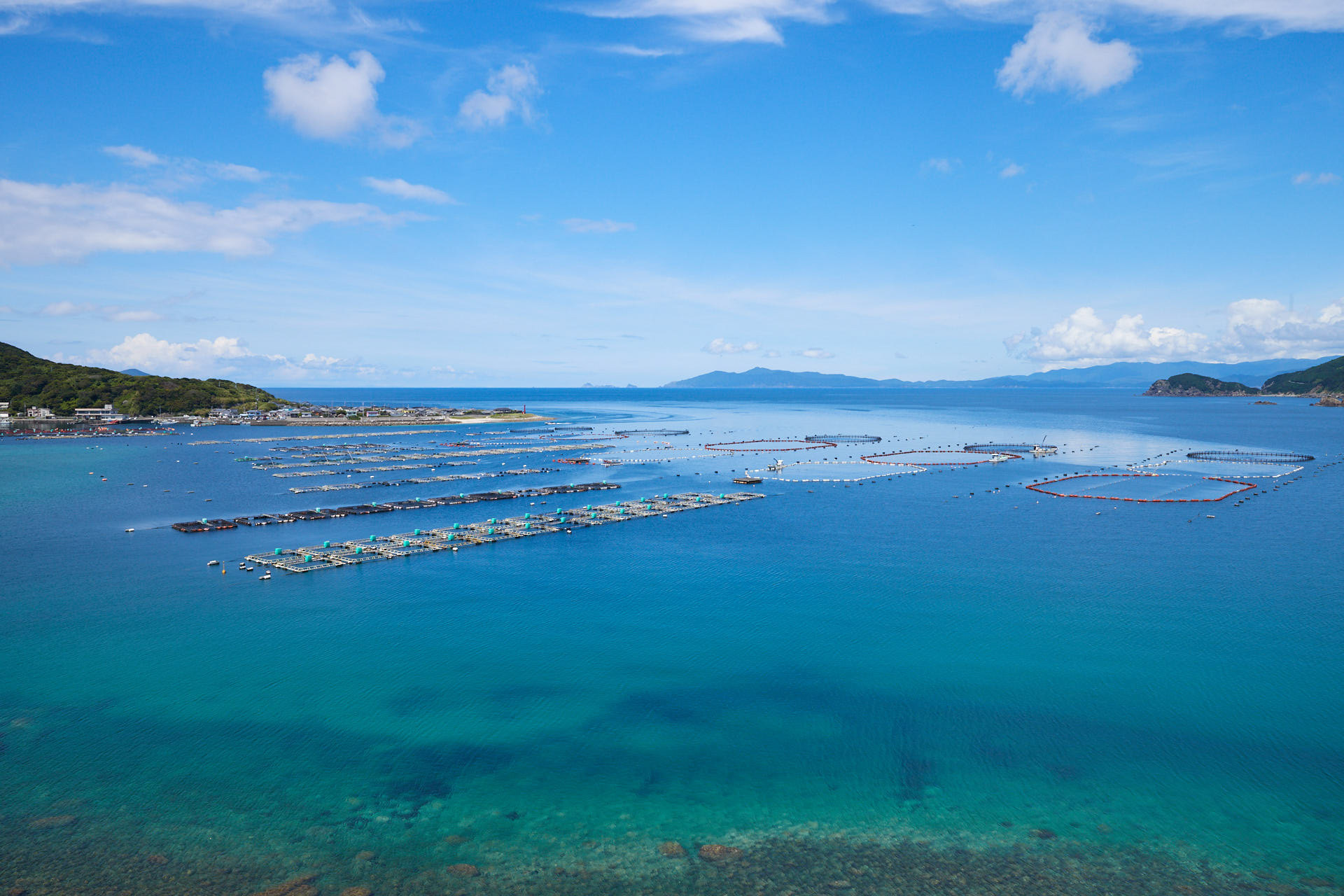 柏島大橋