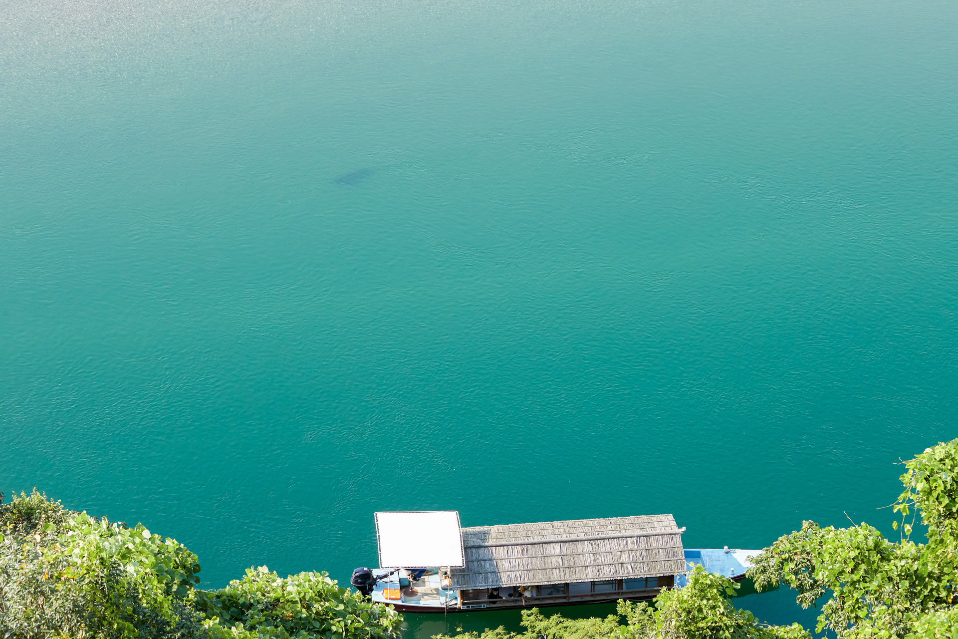 屋形船仁淀川
