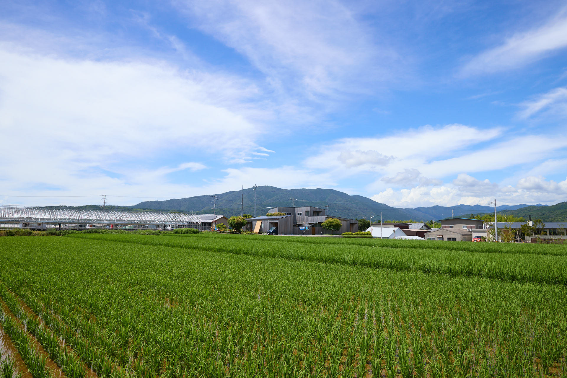 大野台地