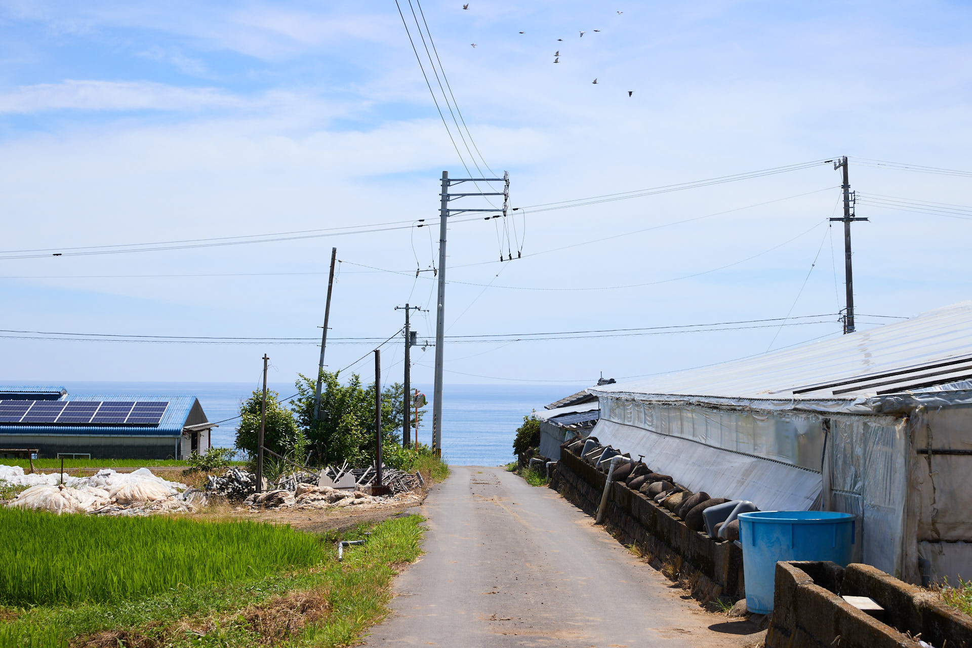 大野台地