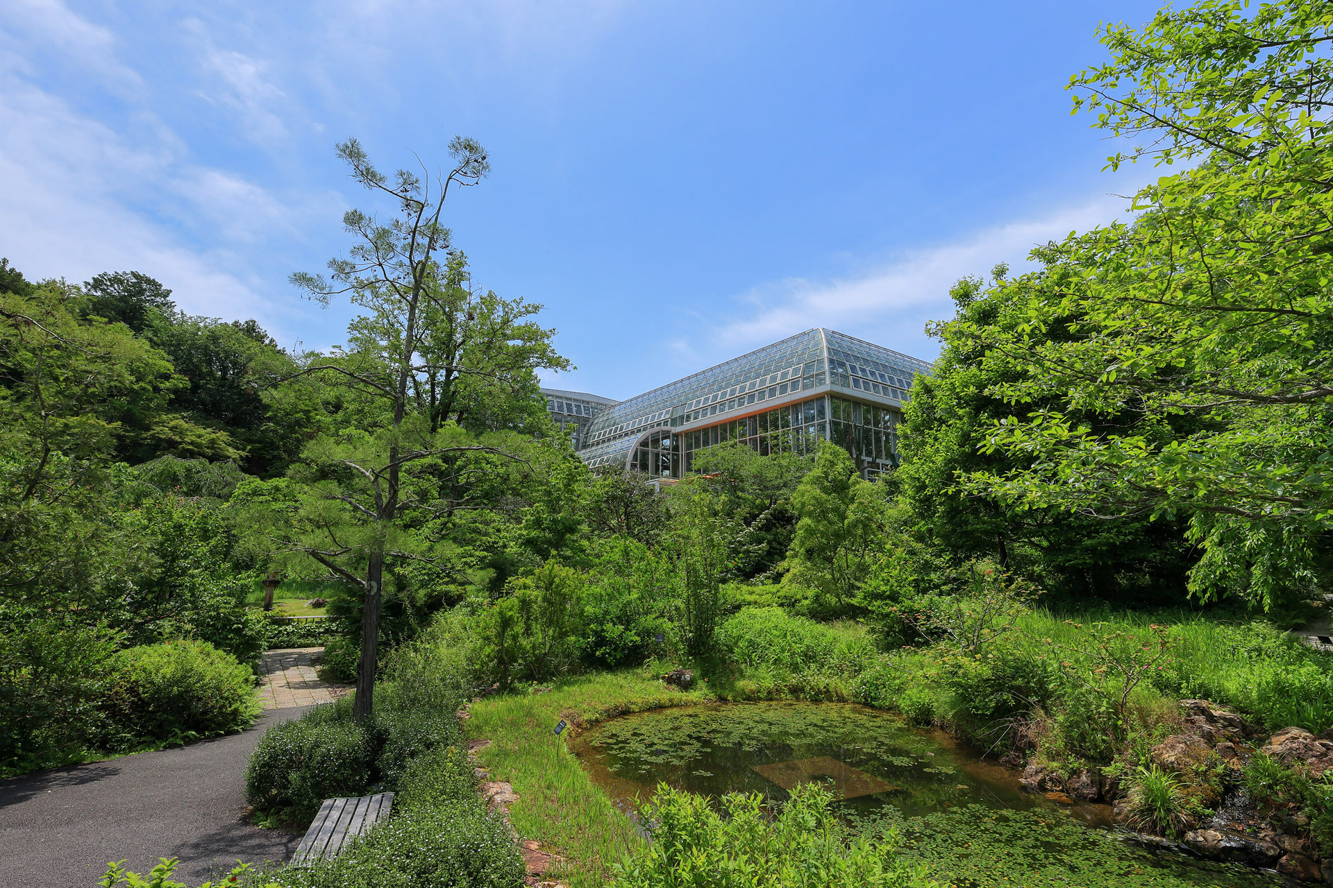 高知県立牧野植物園 温室