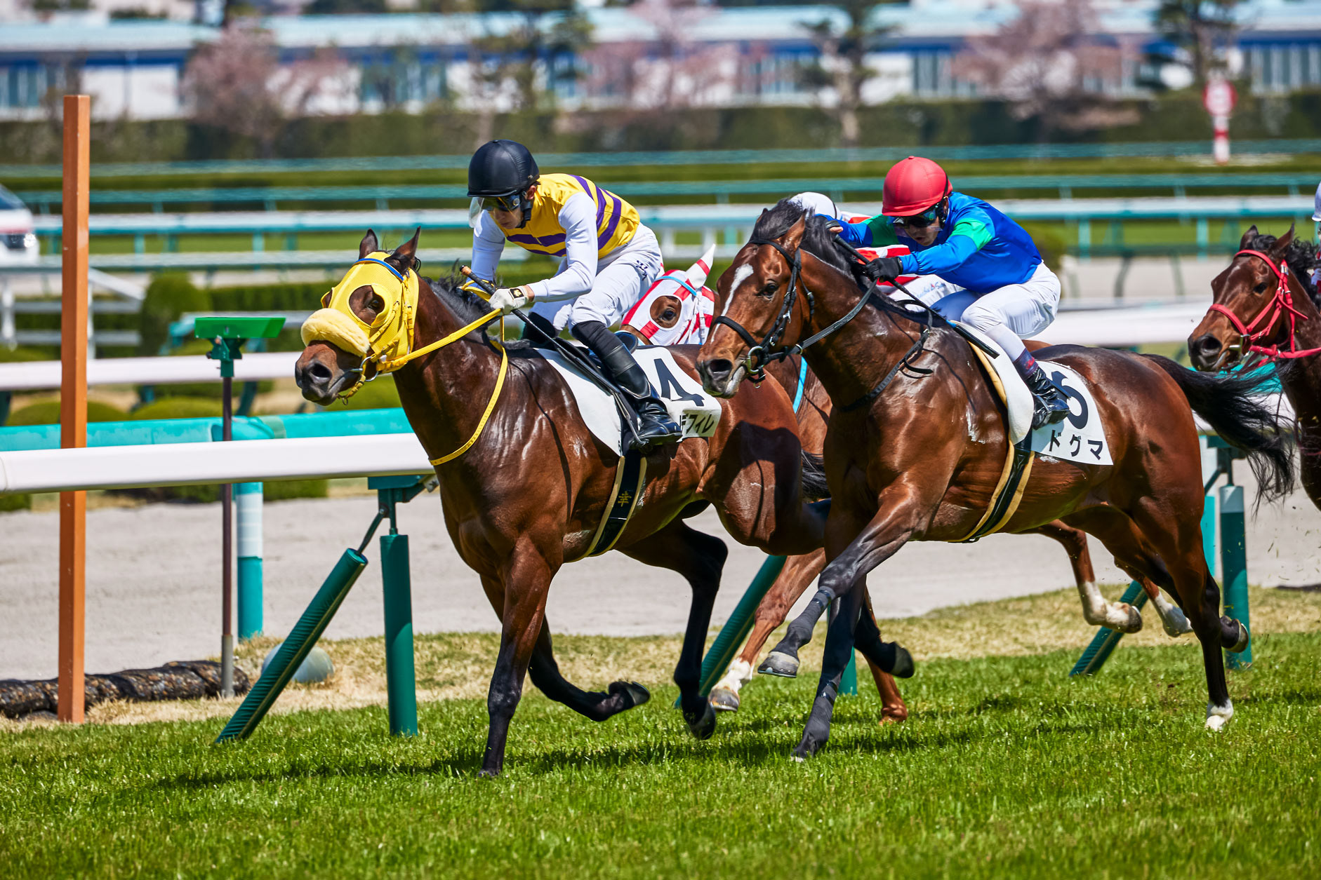 阪神競馬場