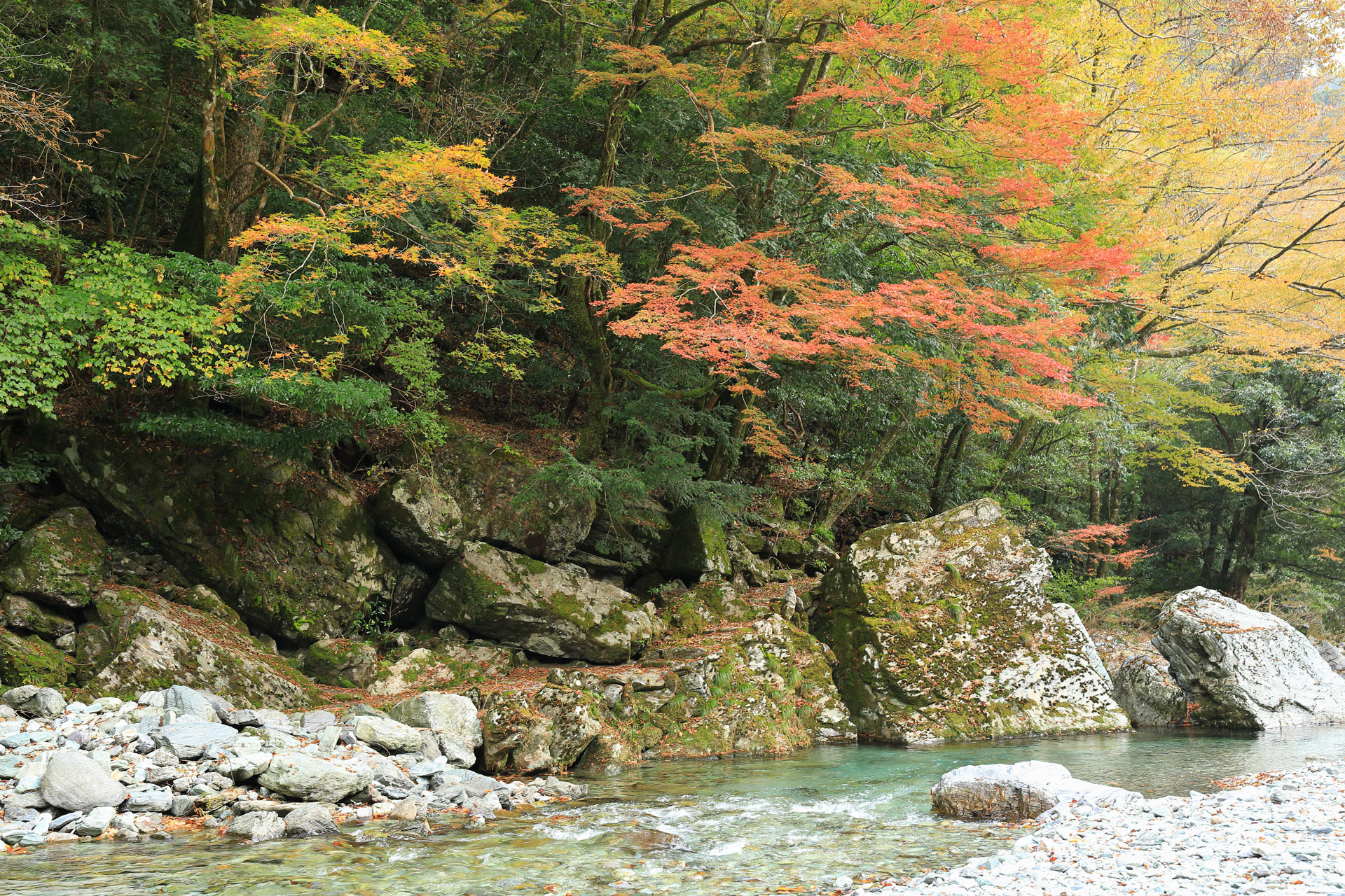 紅葉の安居渓谷 乙女河原
