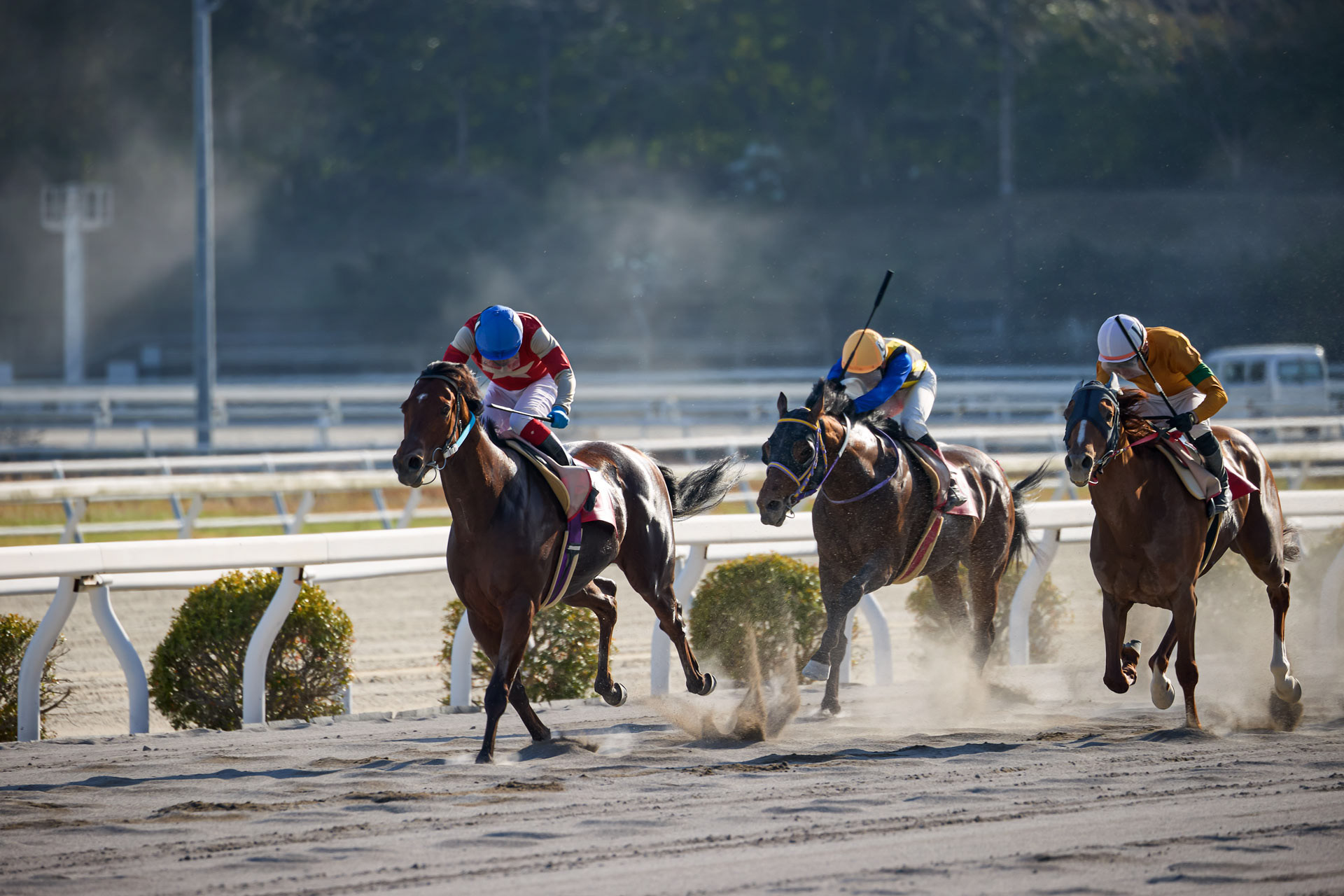 高知競馬場