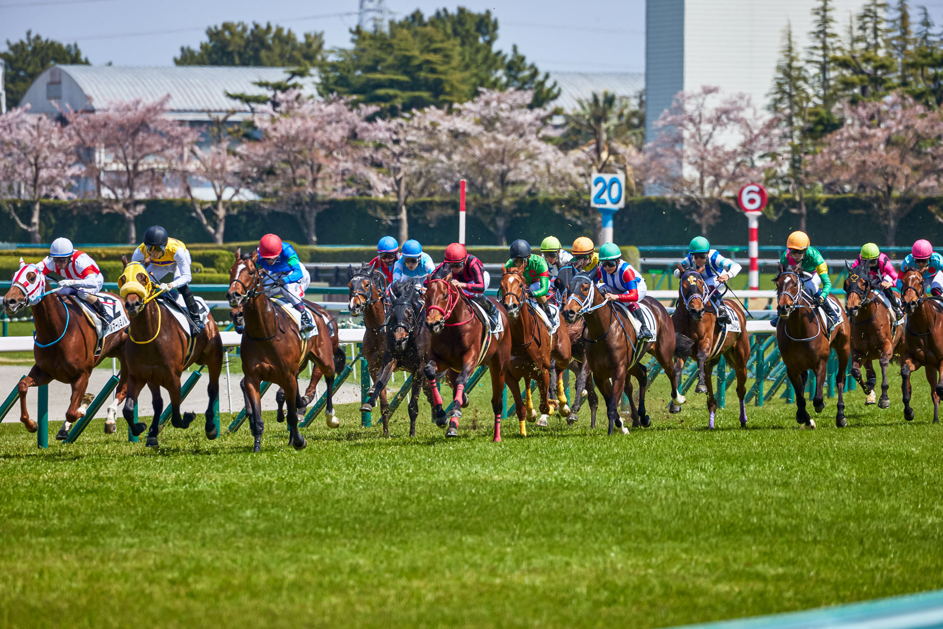 阪神競馬場