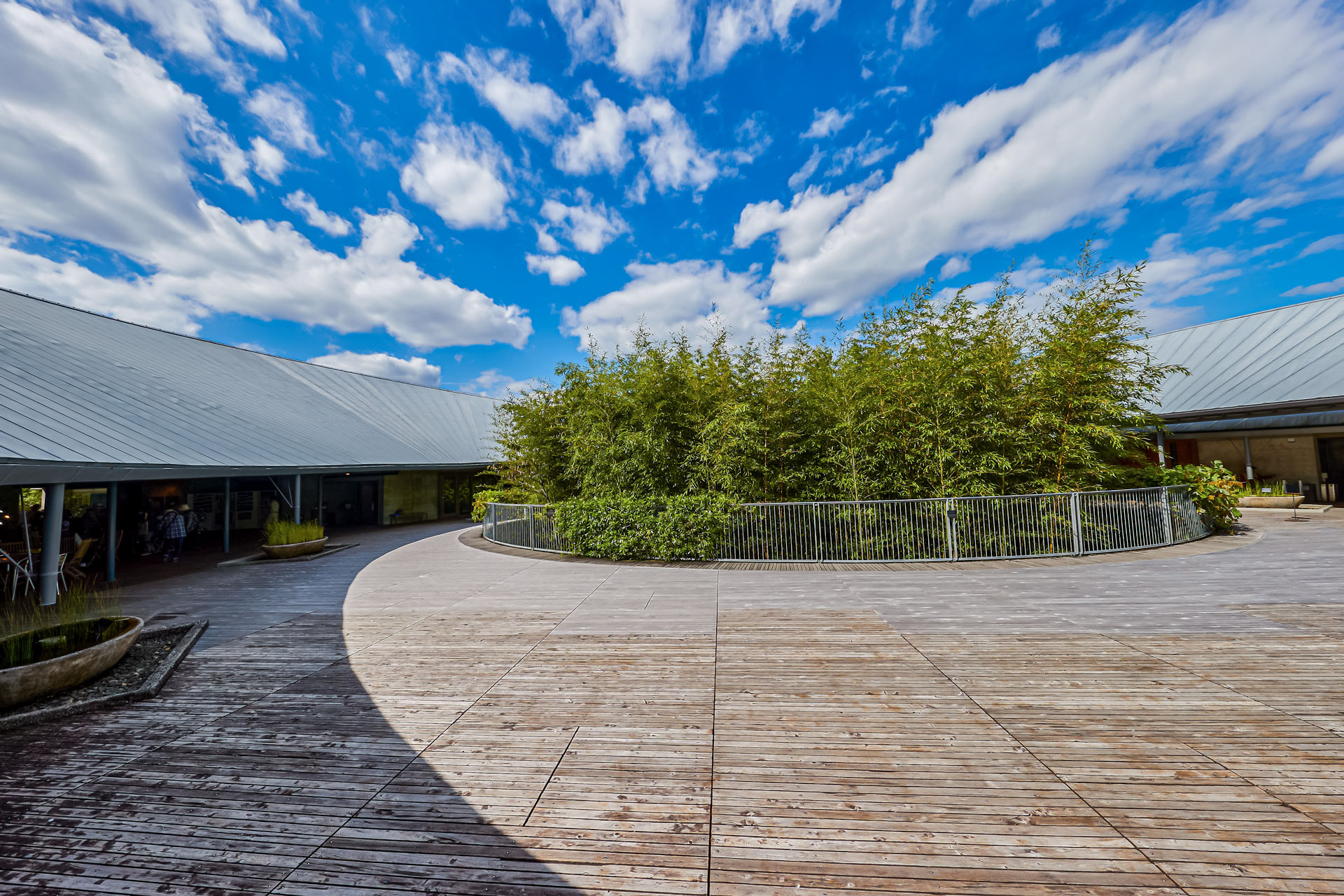高知県立牧野植物園 本館