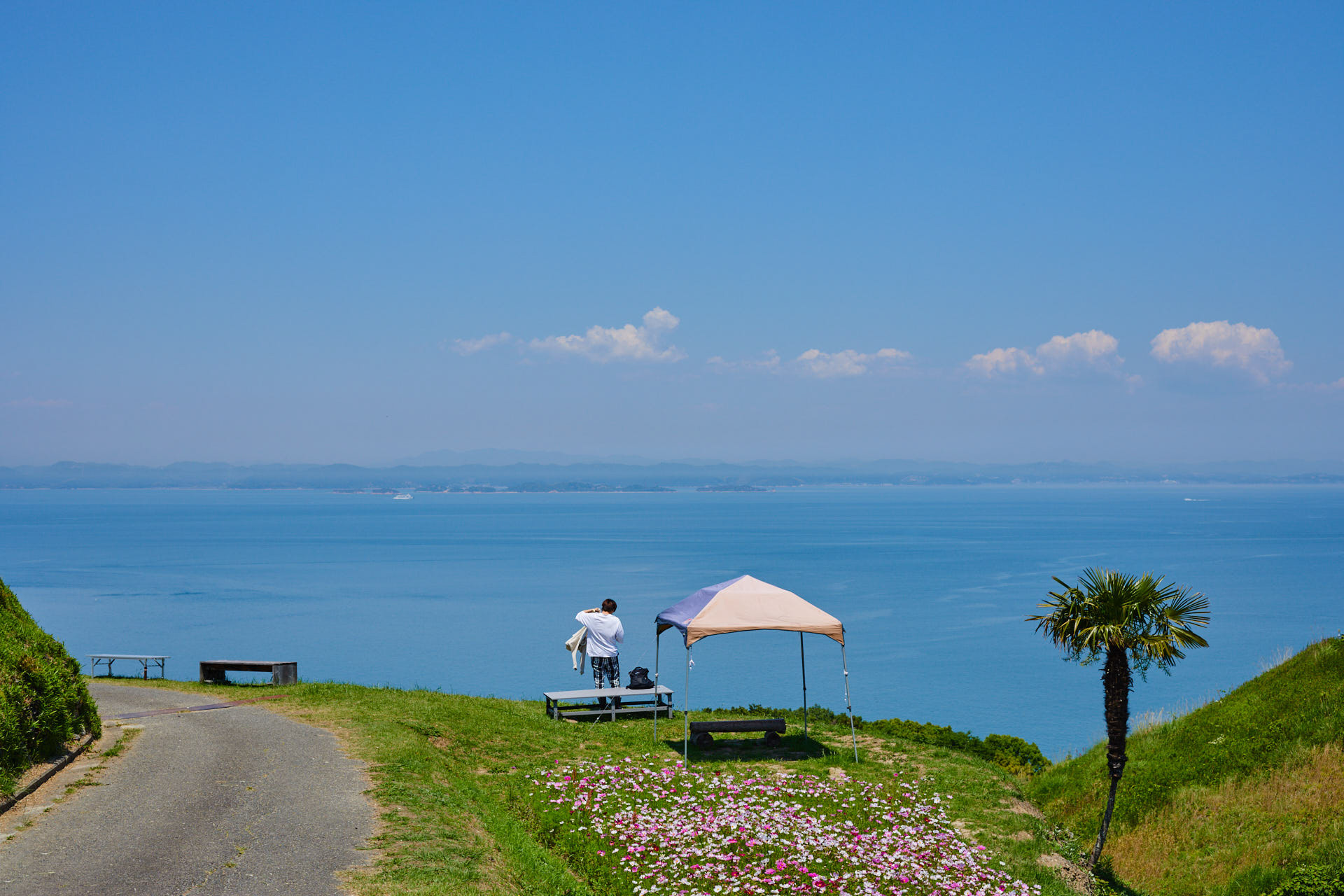 唐櫃・豊島の棚田