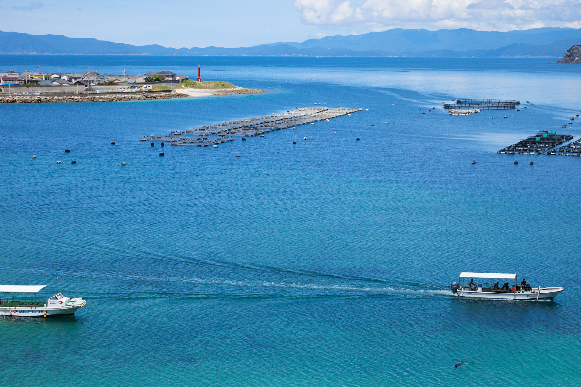 柏島大橋