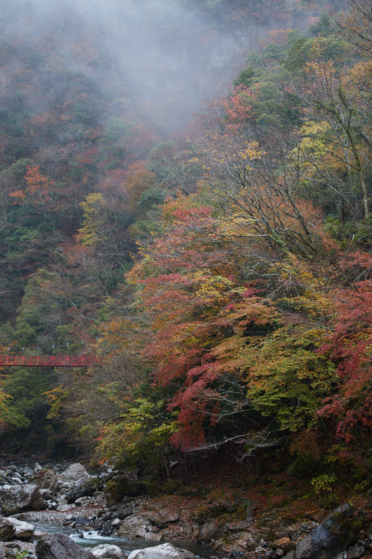 べふ峡の紅葉