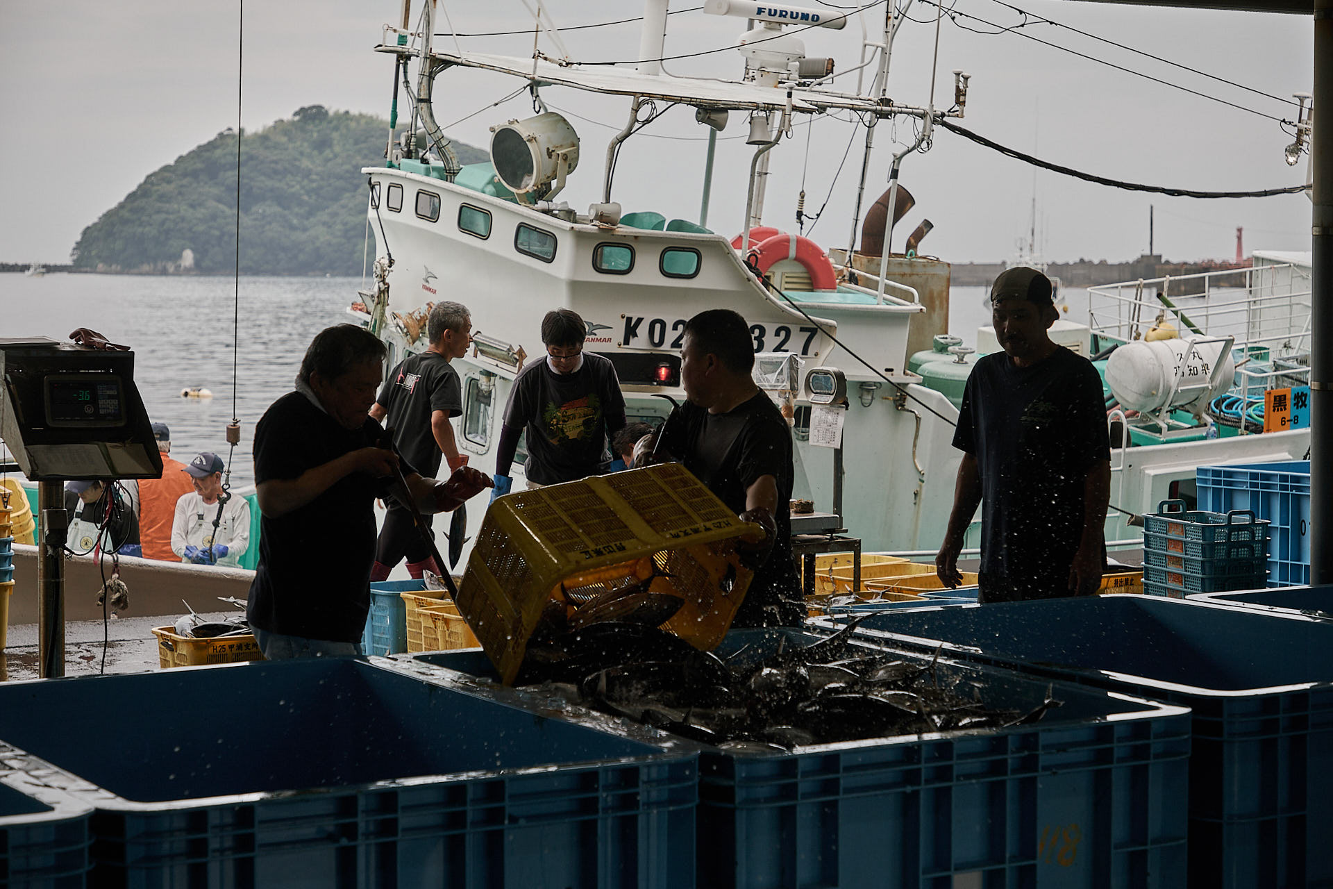 甲浦漁港