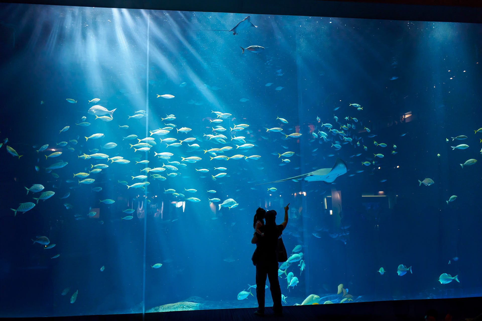 四国水族館 / 宇多津町