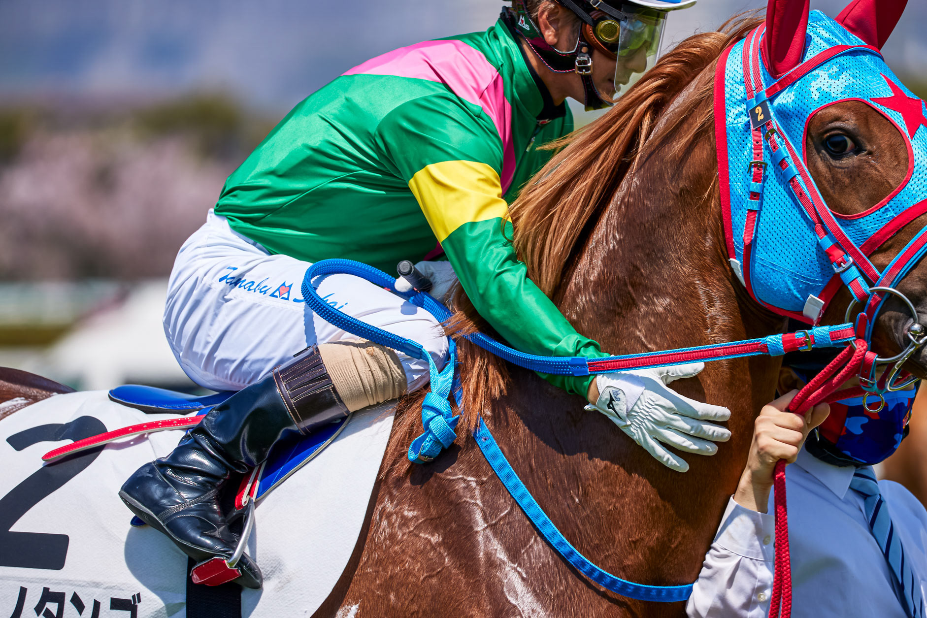 阪神競馬場