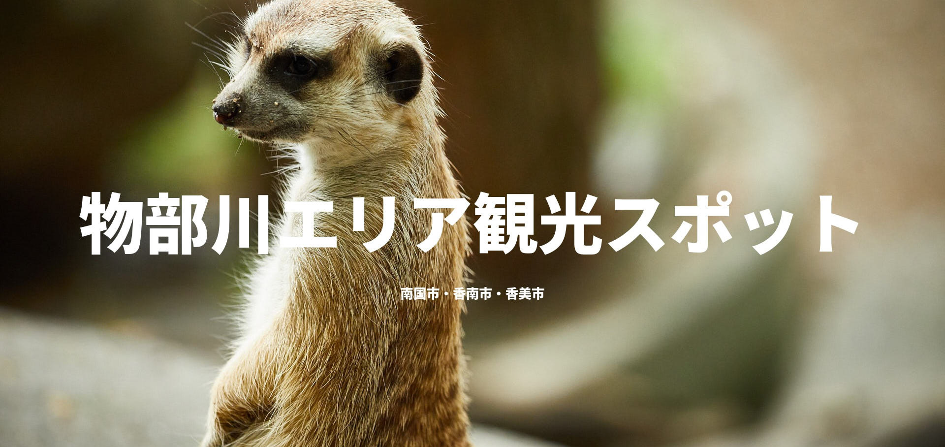 物部川エリア観光スポット