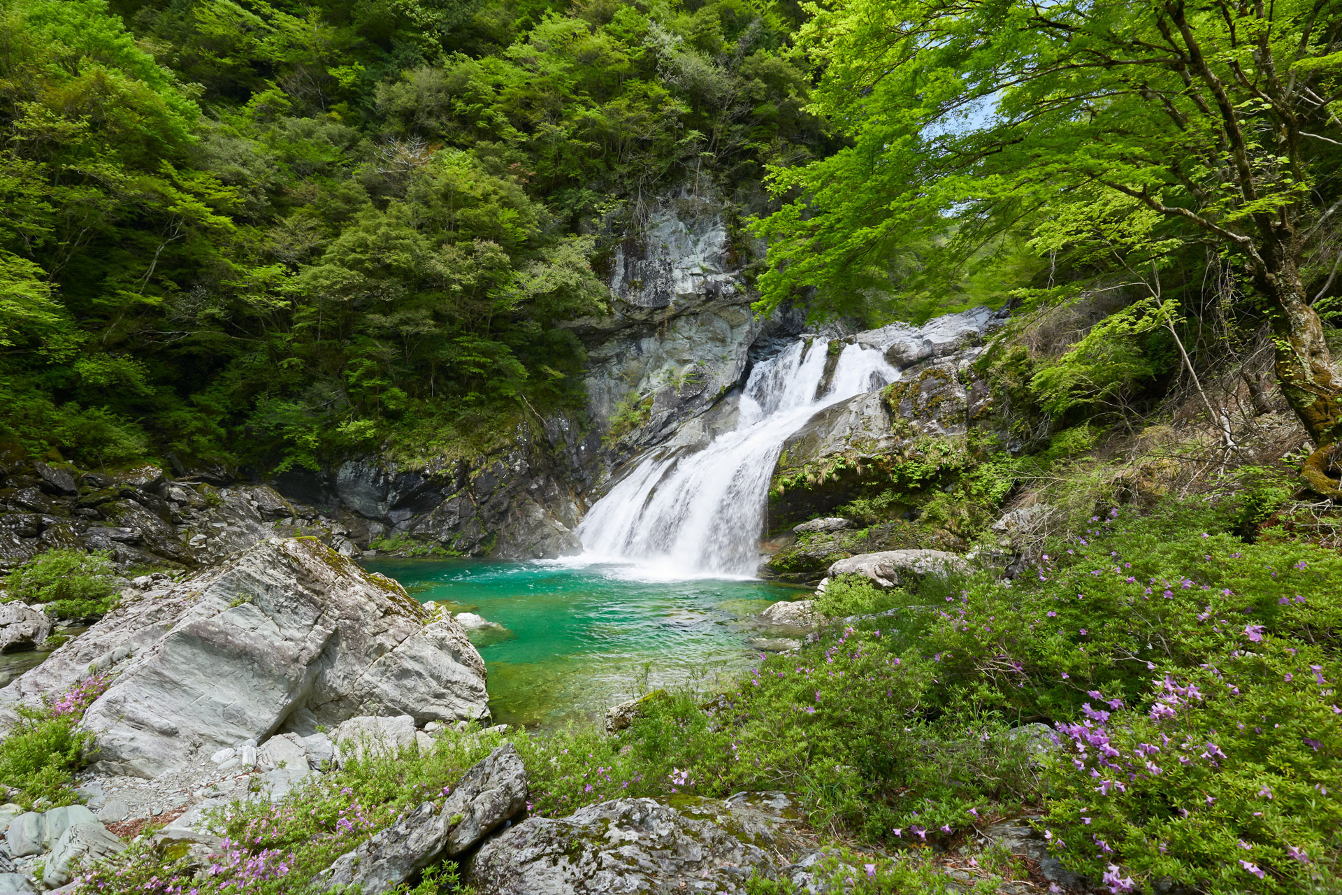 瀬戸川渓谷