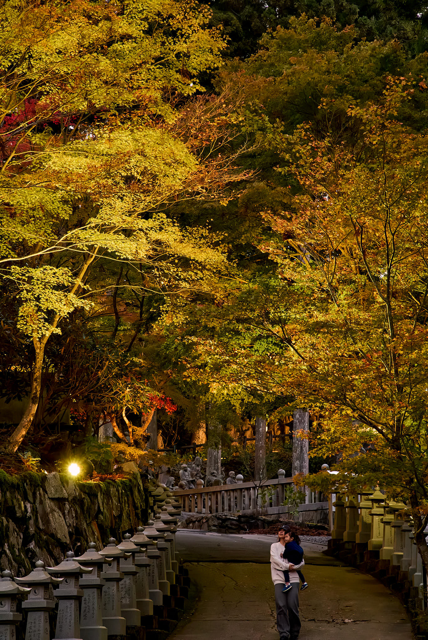 雲辺寺