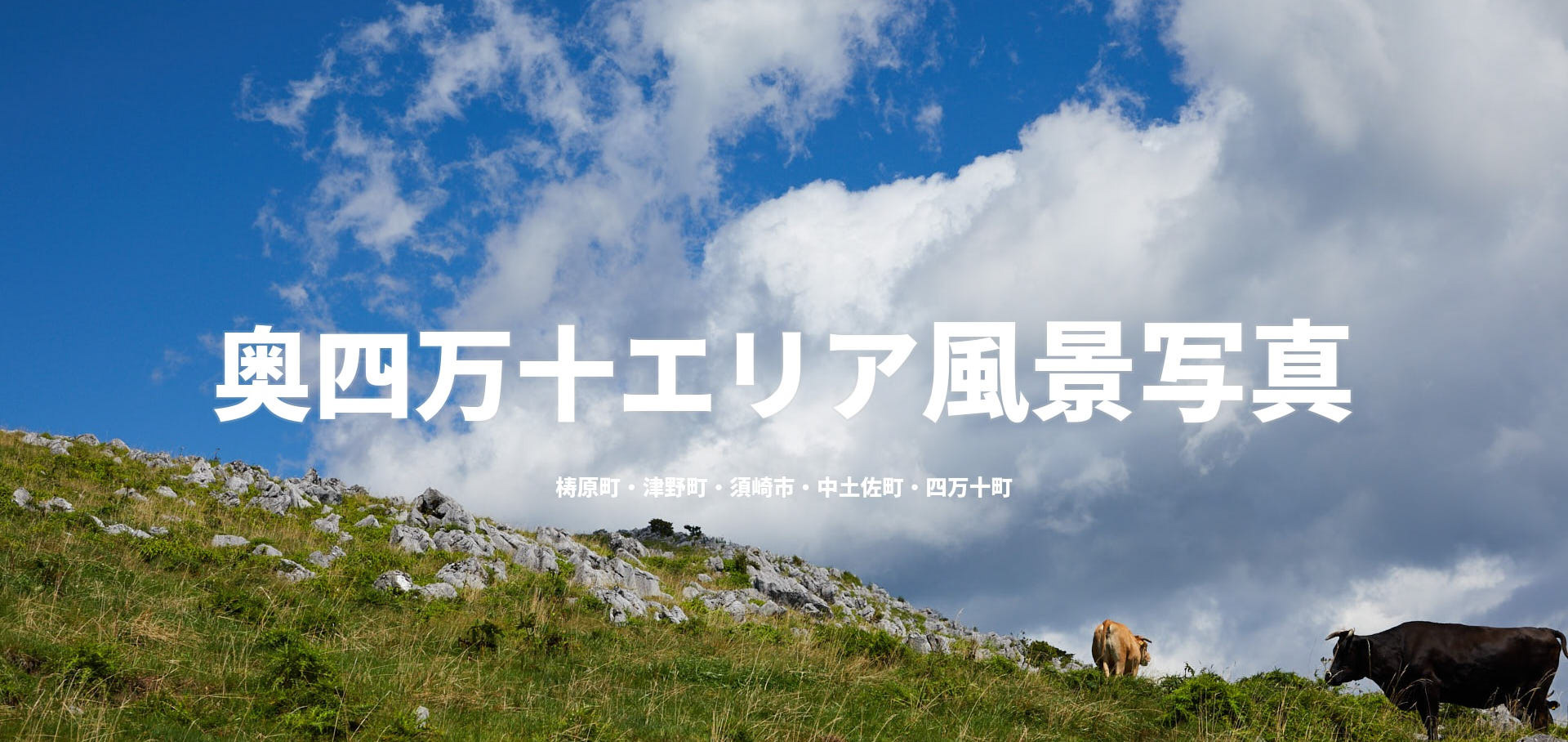 奥四万十エリア風景写真
