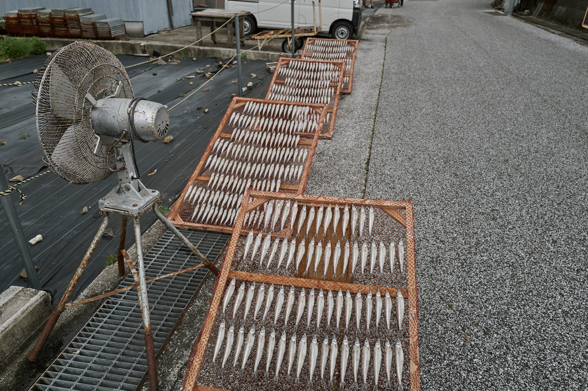 干魚のやまさき メヒカリ