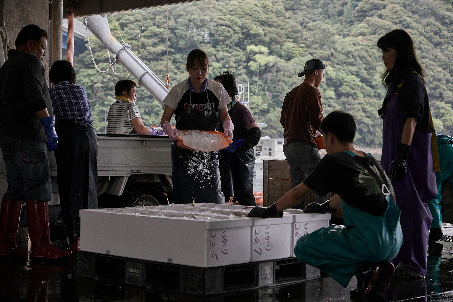 甲浦漁港