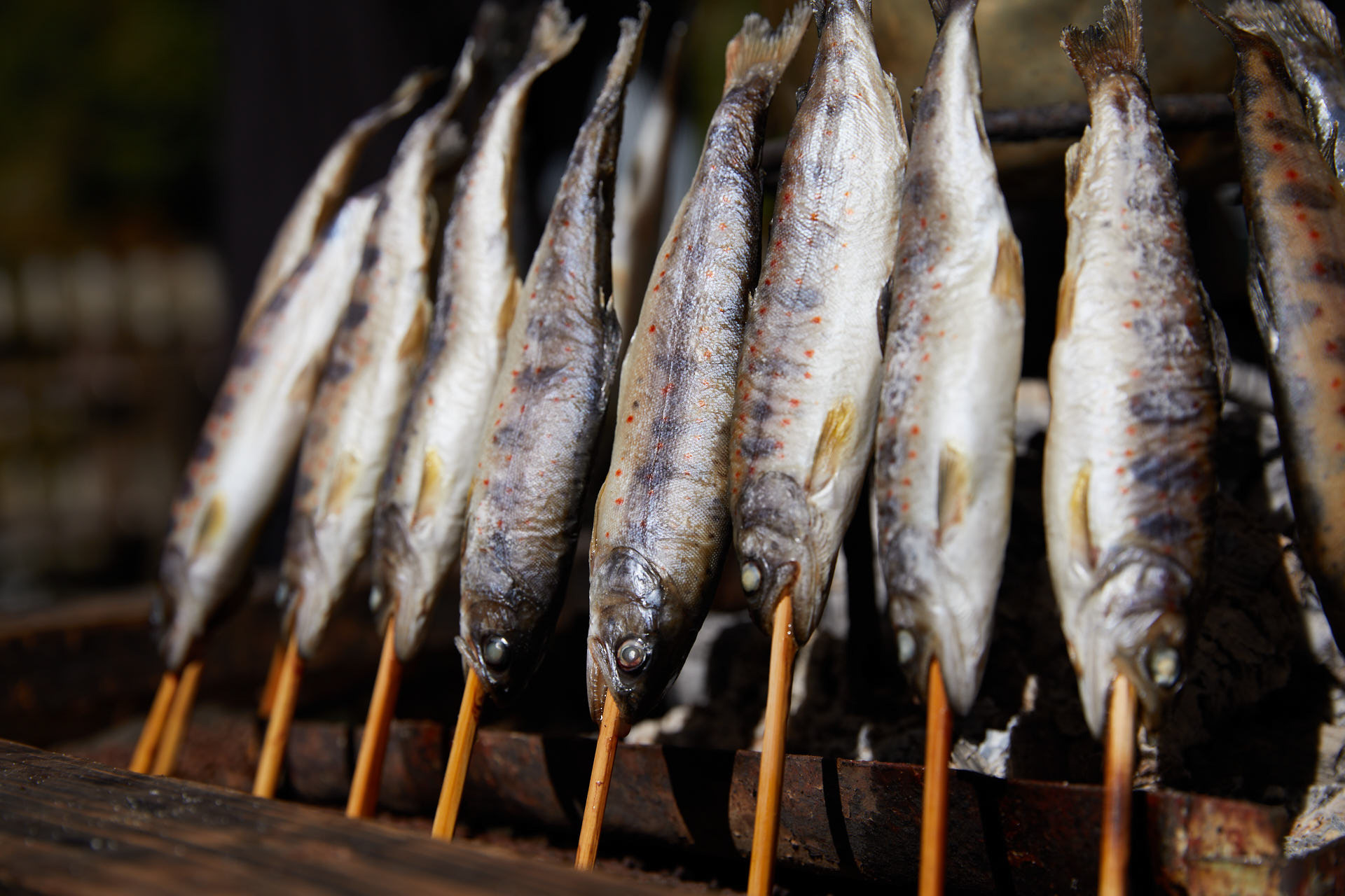 アメゴの塩焼き